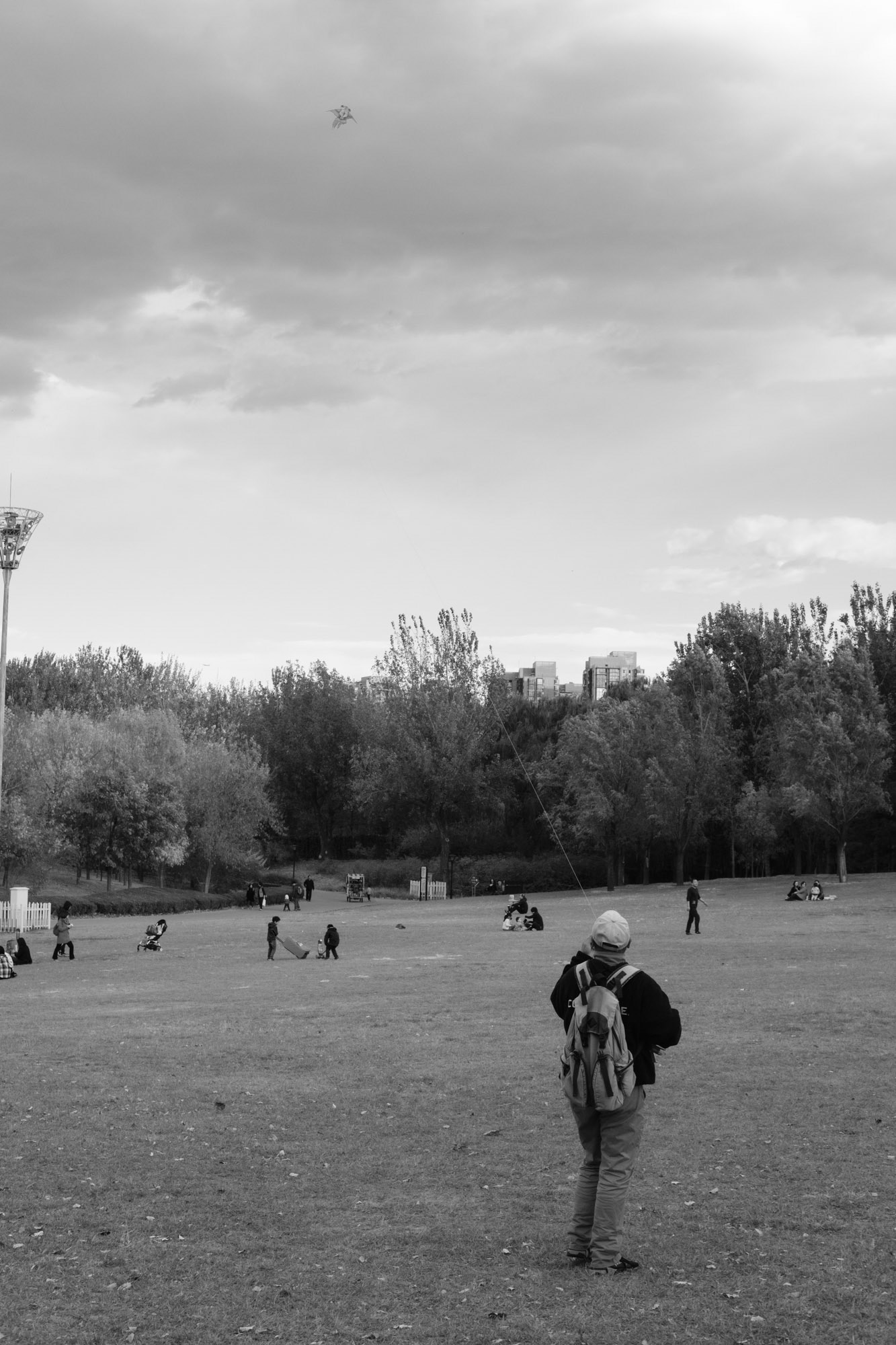 Kite flyer, Chaoyang Park, Beijing