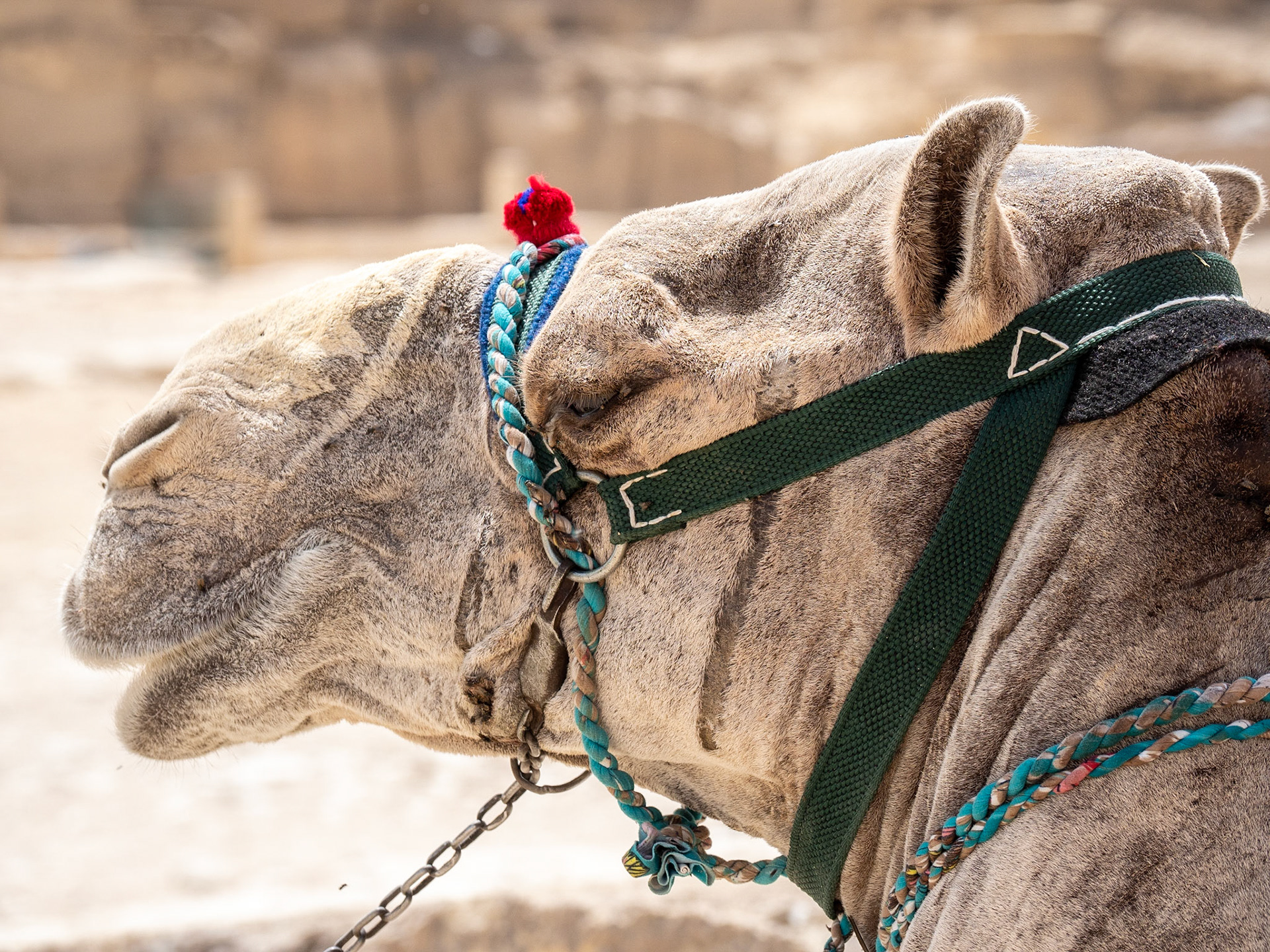 Cairo, Egypt