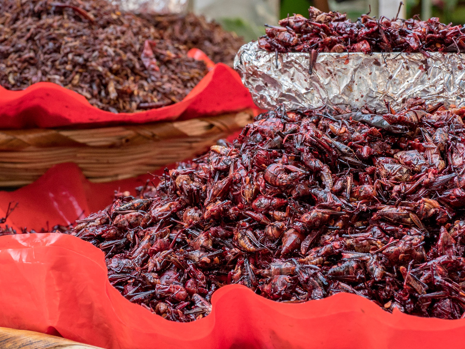 Oaxaca, Mexico