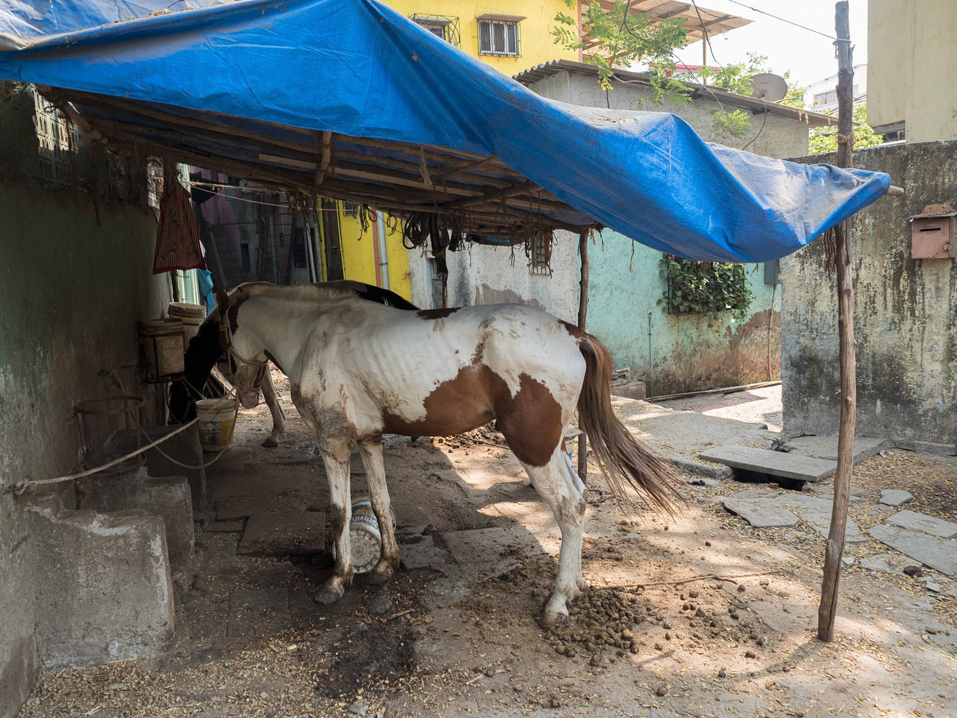 Mumbai, India