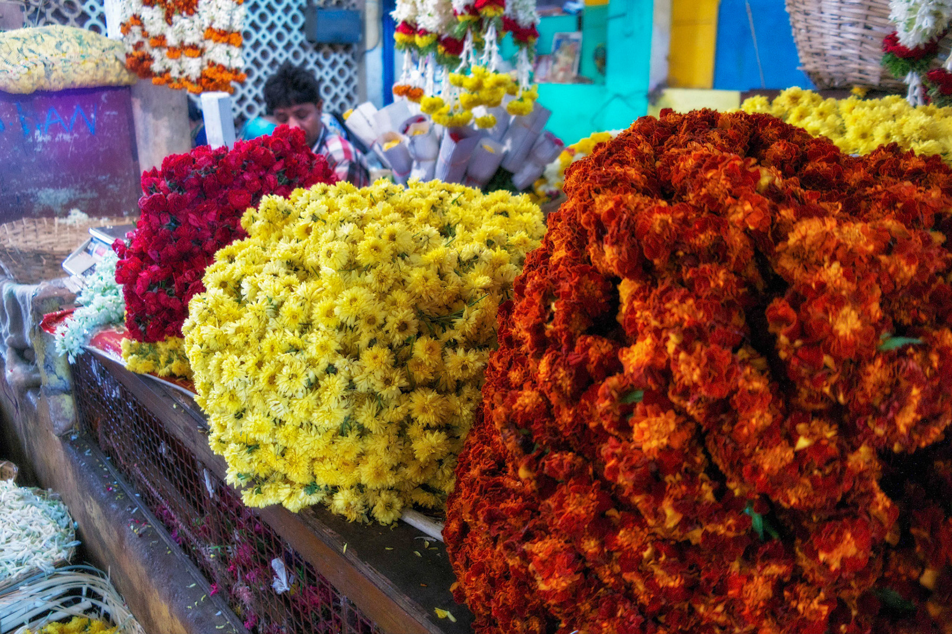 Goa, India