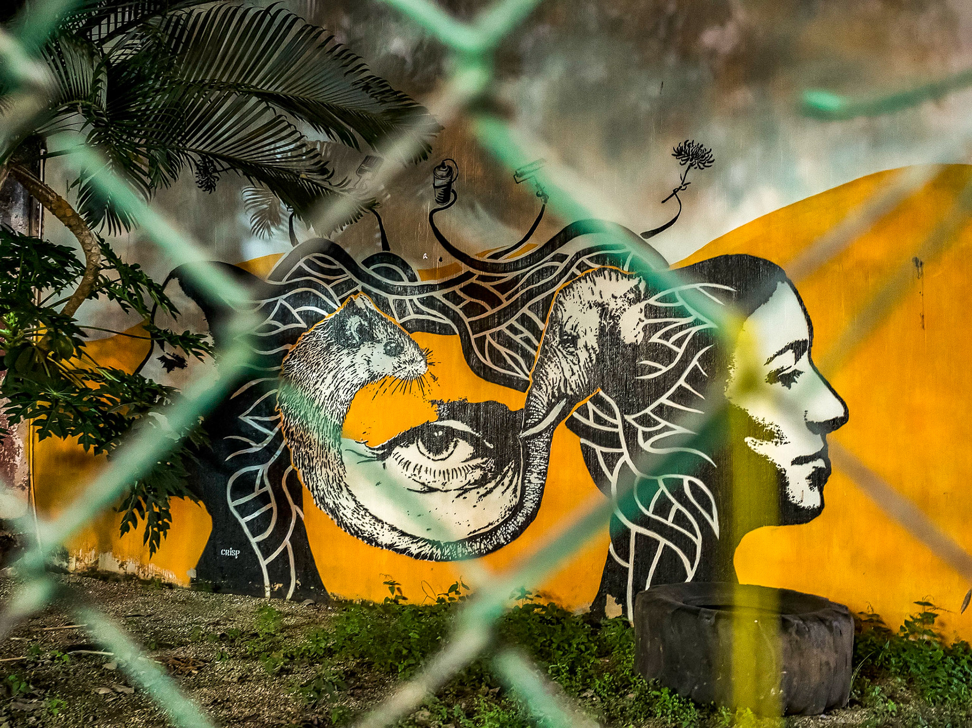 Sayulita, Mexico