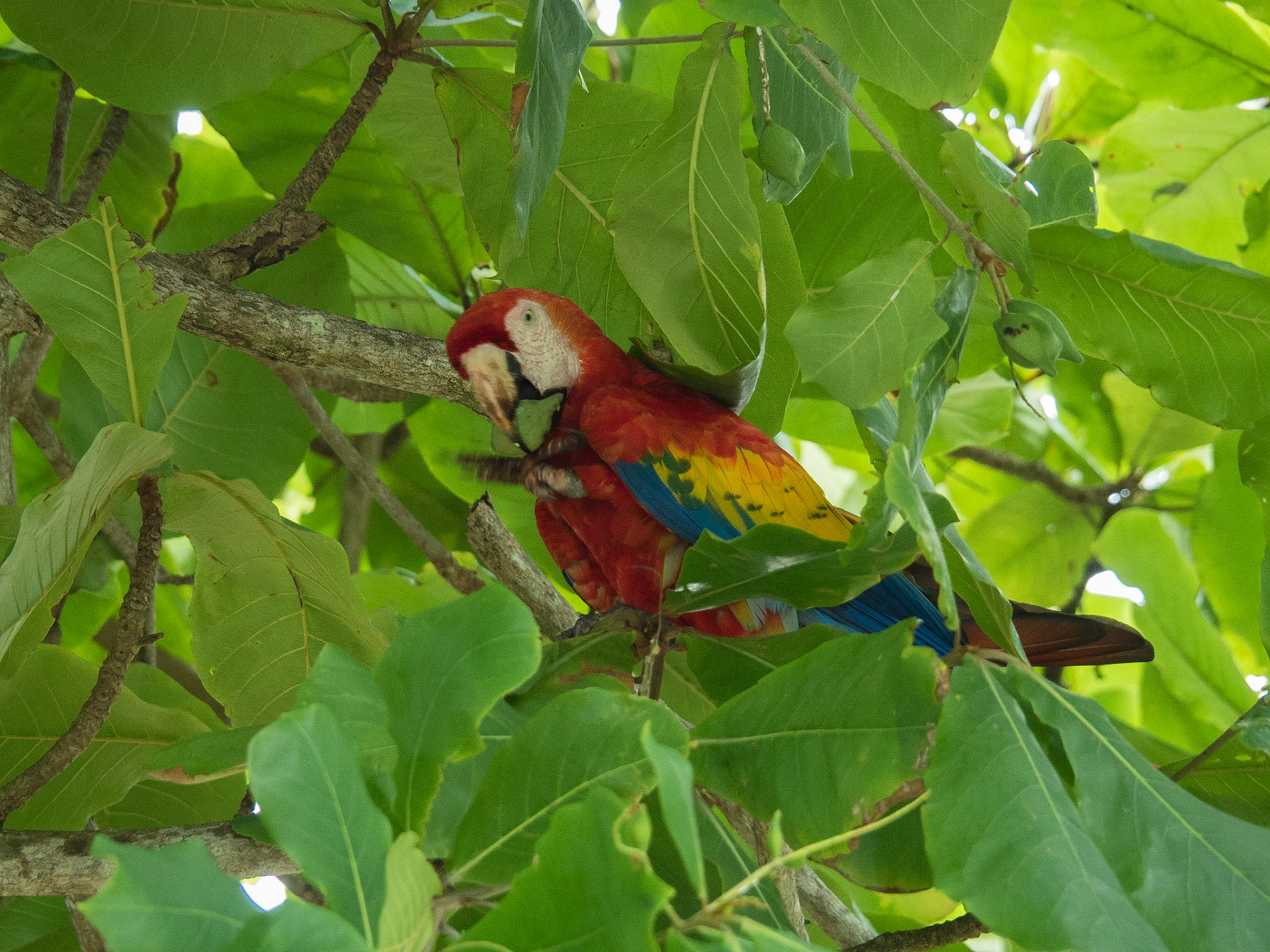Costa Rica