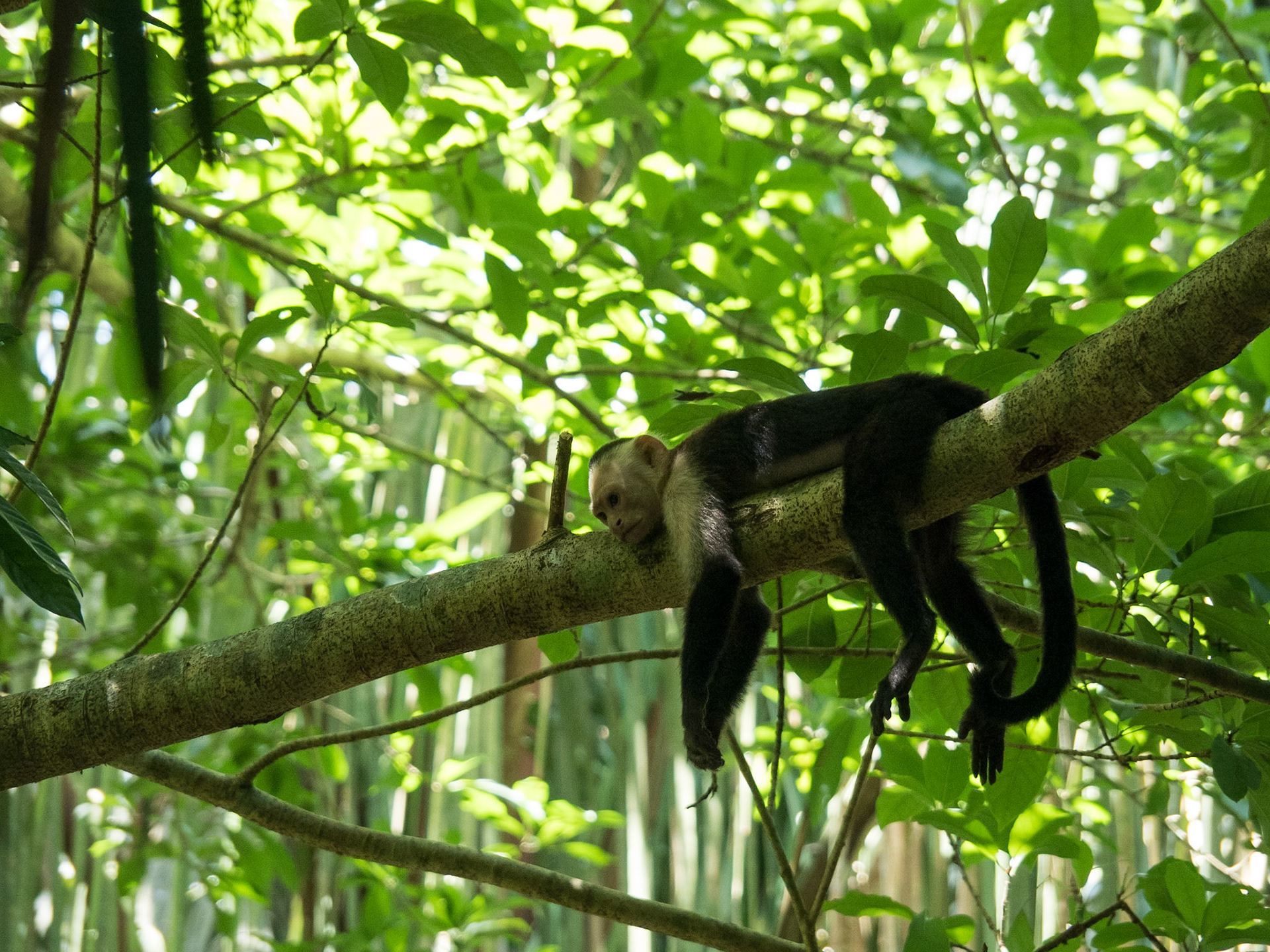 Costa Rica
