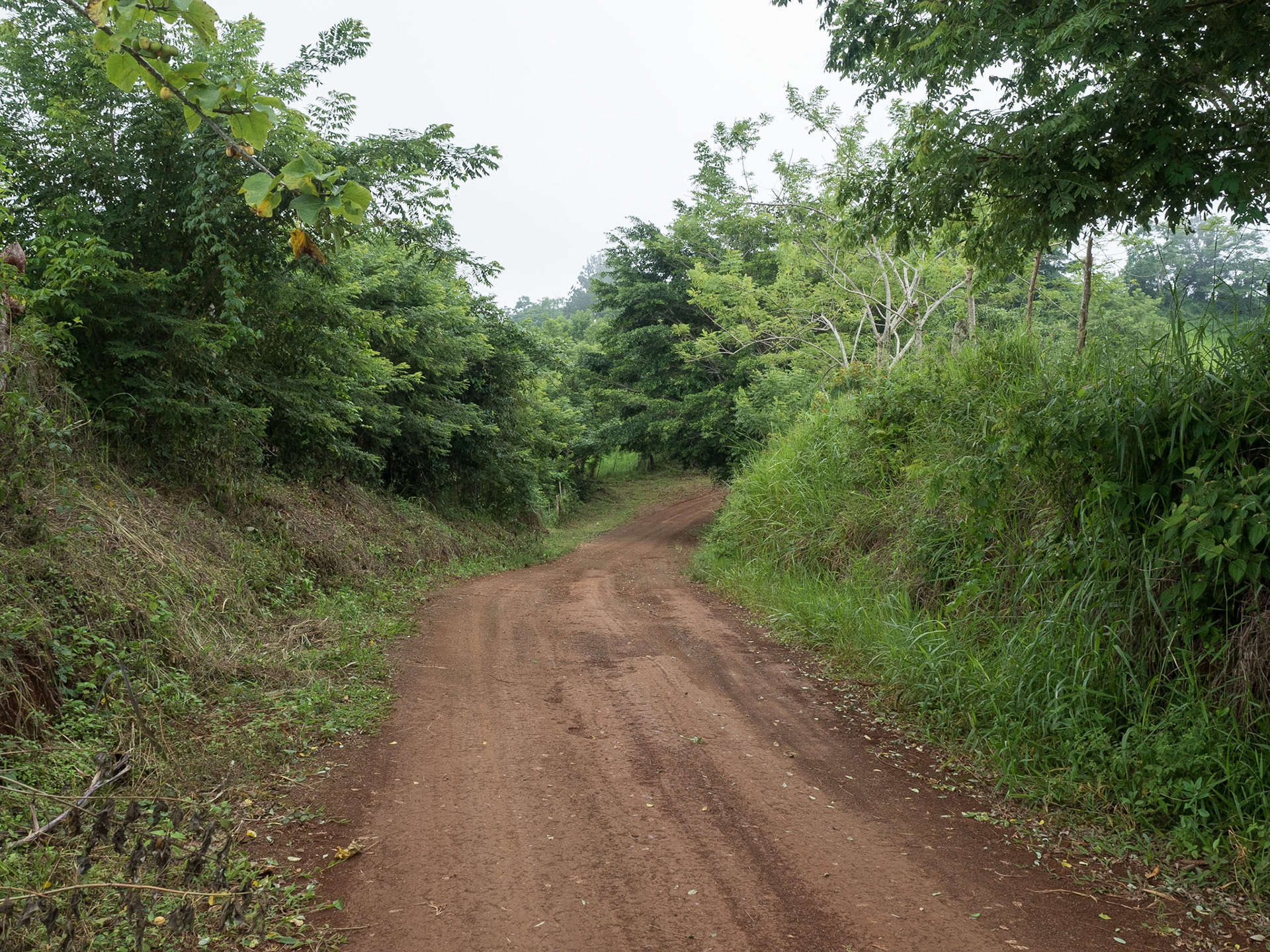 Costa Rica
