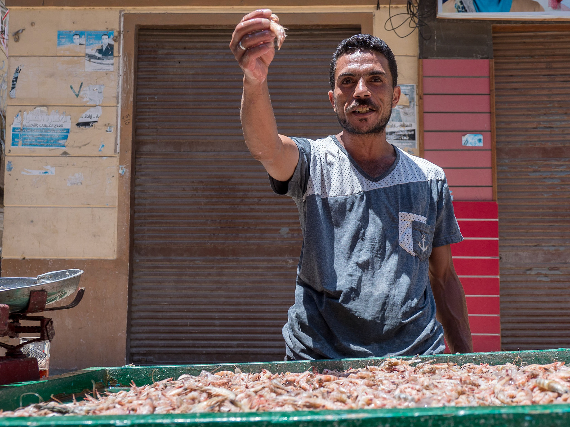 Rashid, Egypt