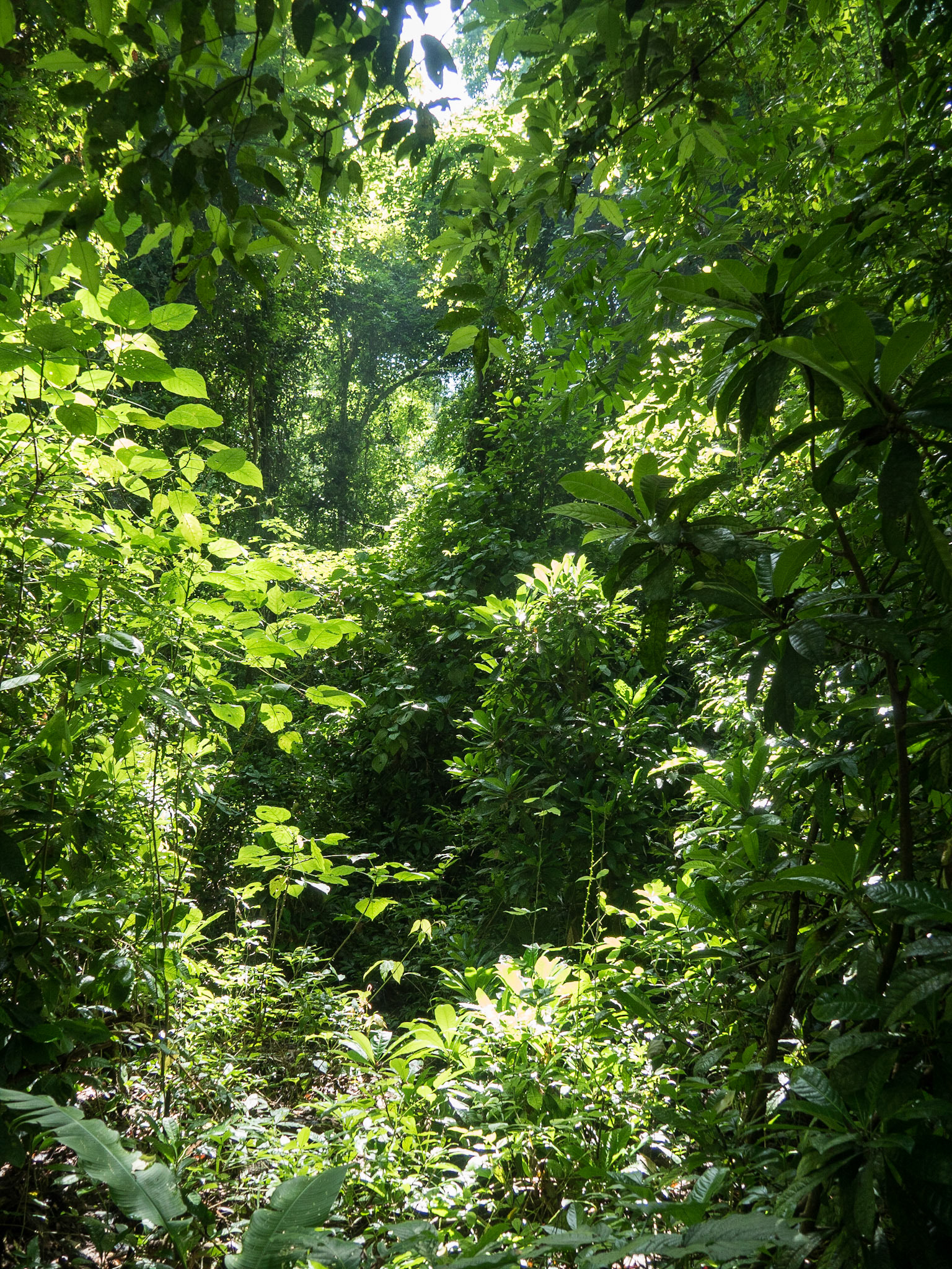 Costa Rica