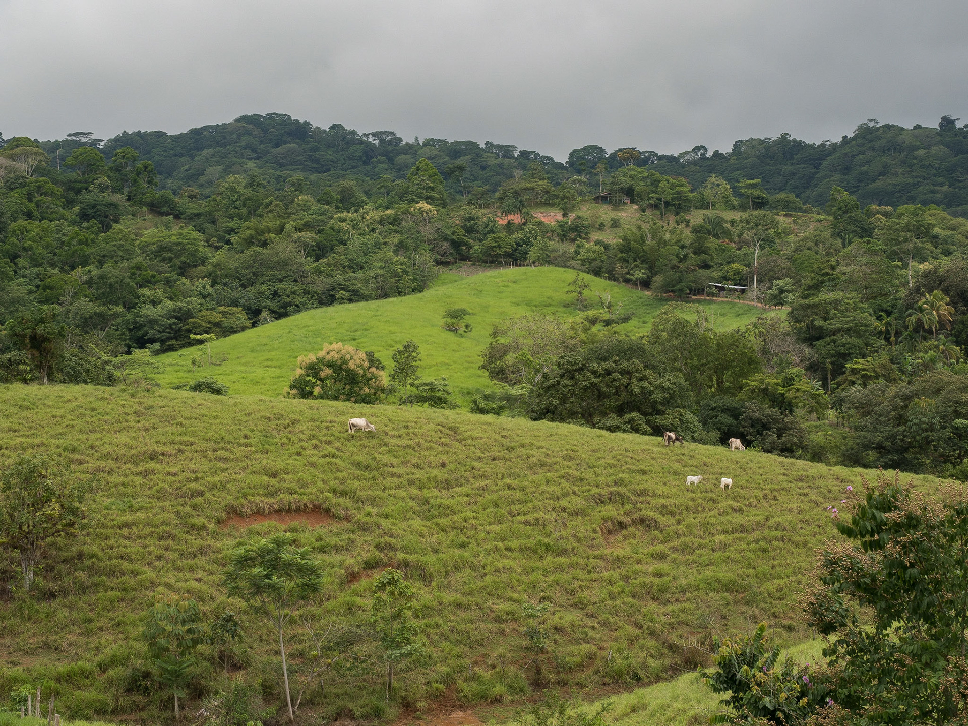Costa Rica