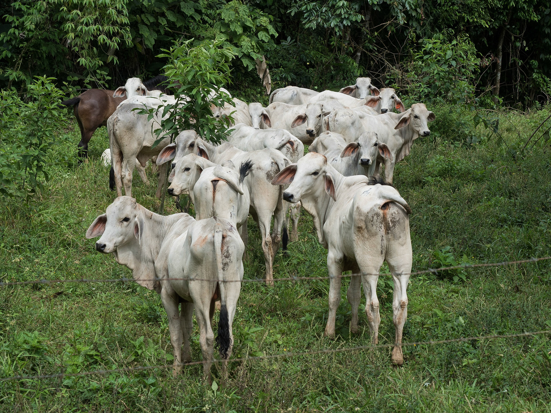 Costa Rica