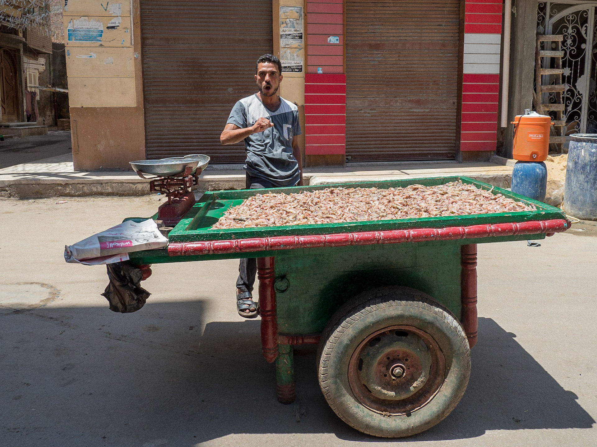 Rashid, Egypt