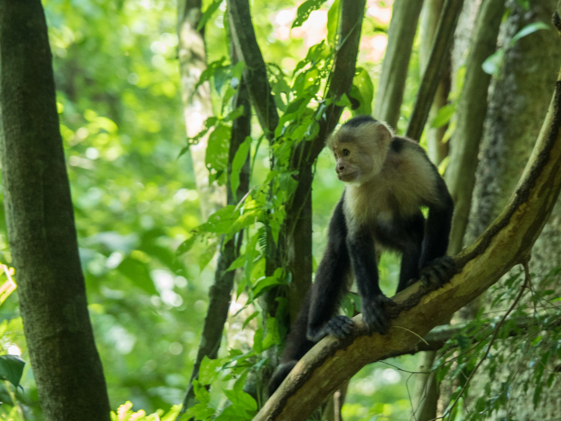 Costa Rica