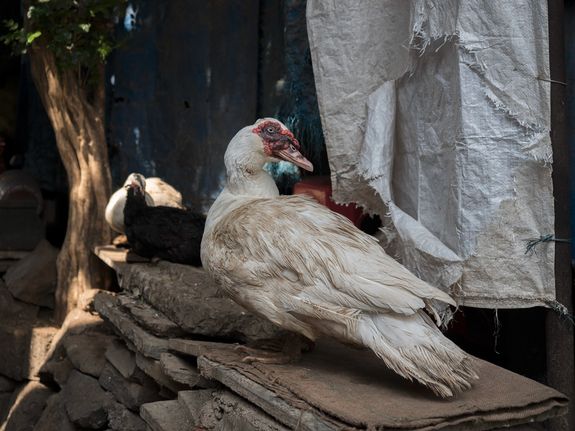Mumbai, India