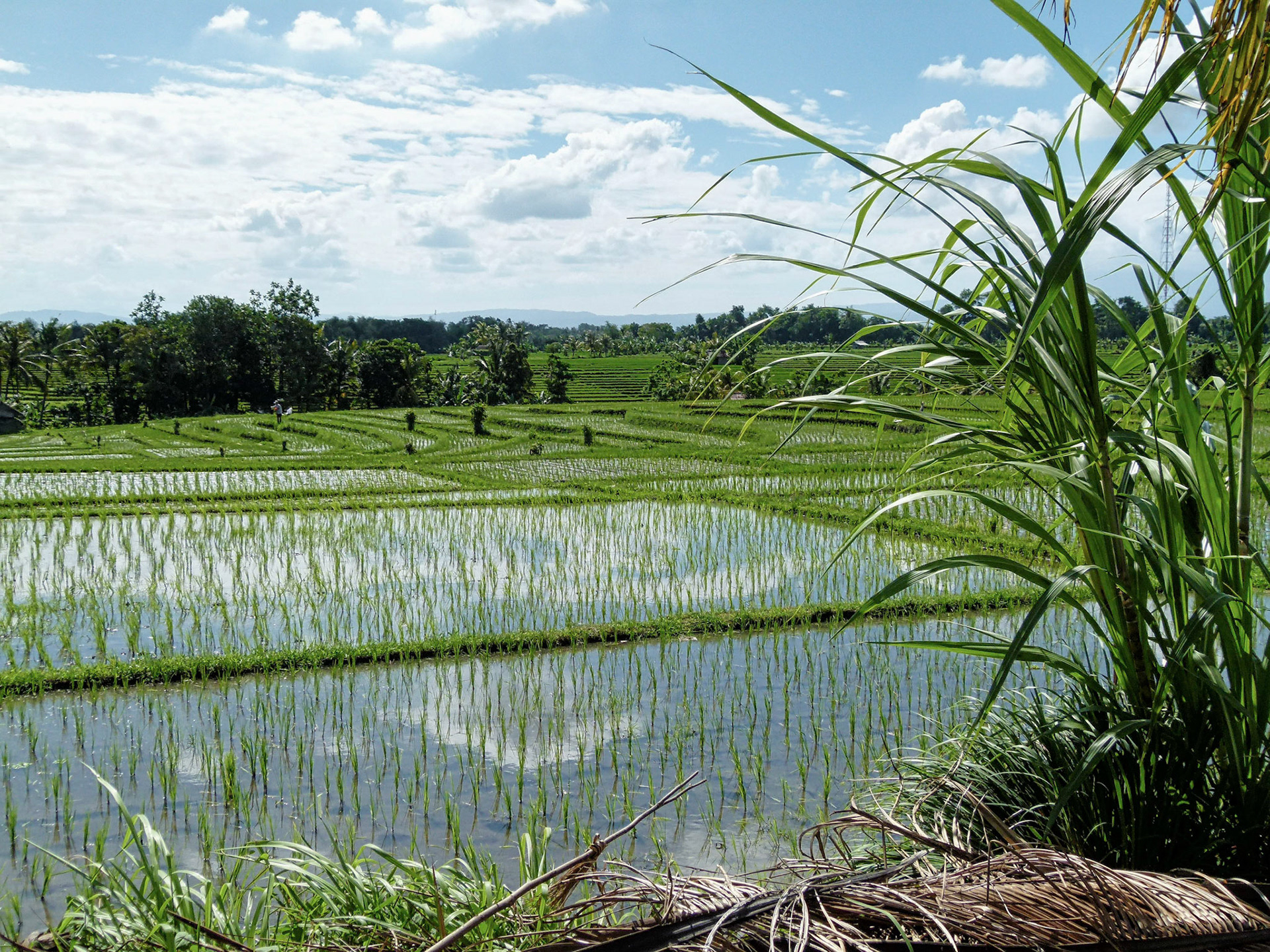 Bali, Indonesia