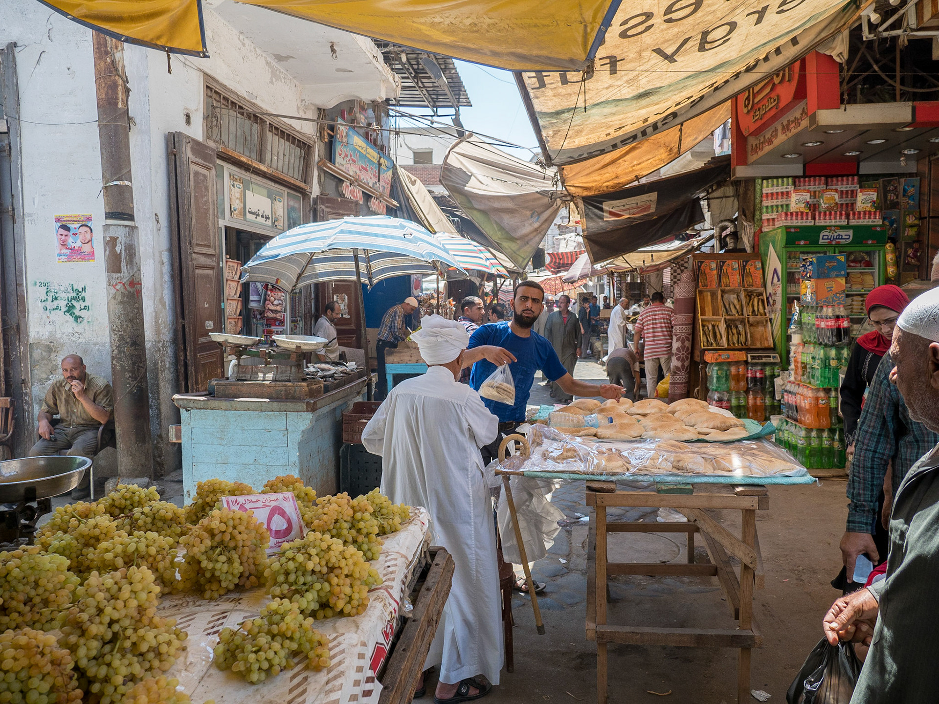 Rashid, Egypt