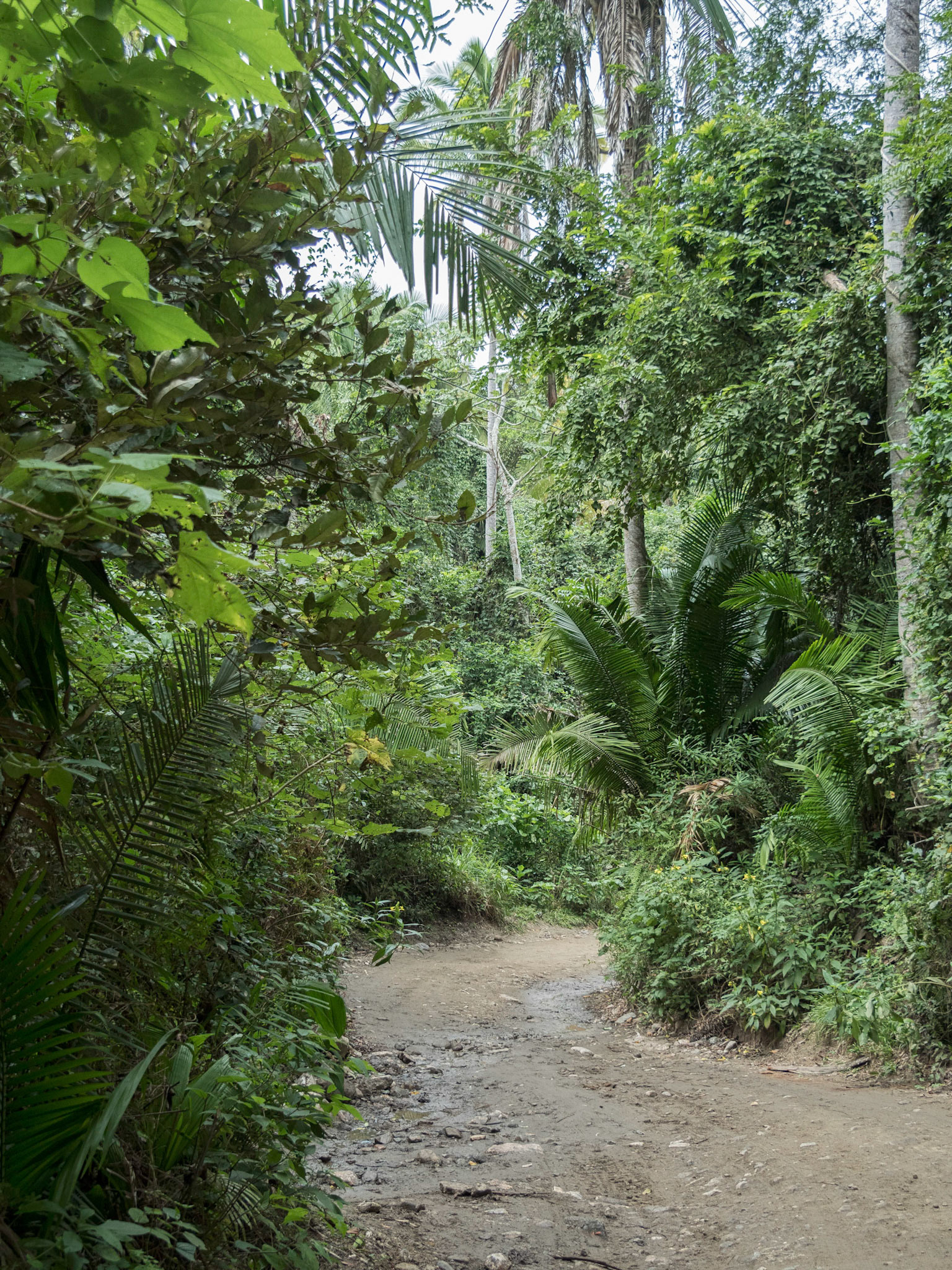 Sayulita, Mexico