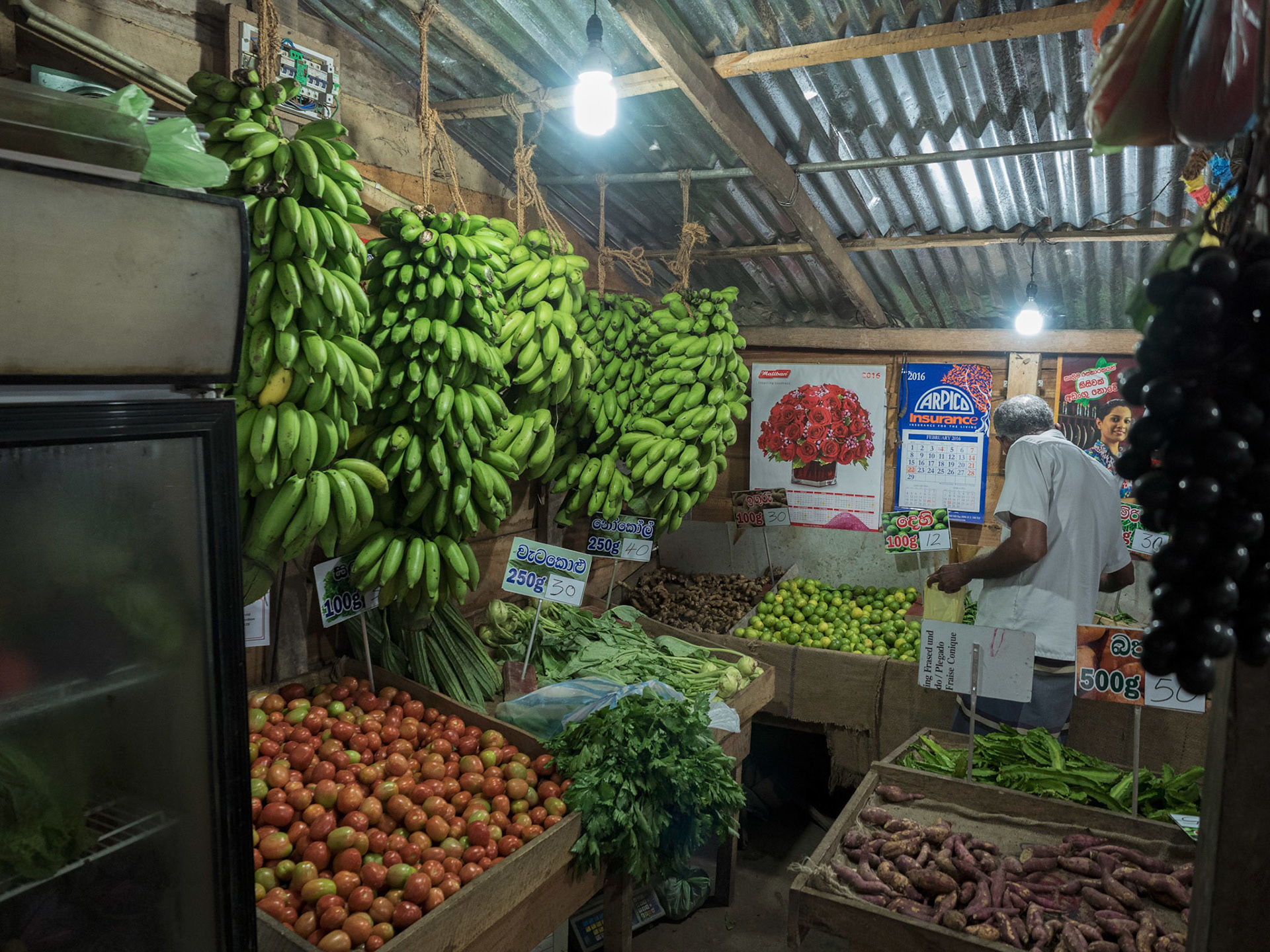 Bentota, Sri Lanka