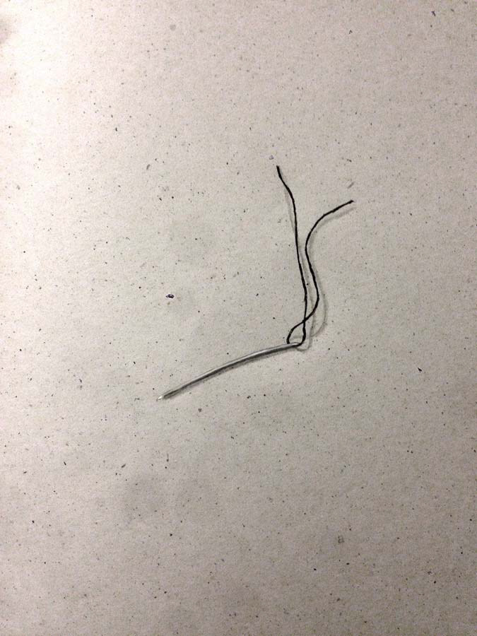 sewing needle. 12.09.2016.
