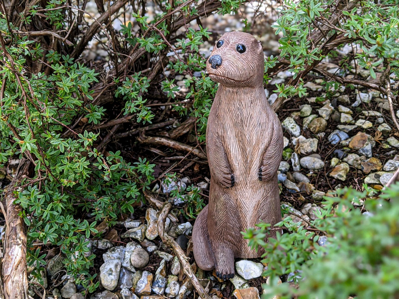 Hugo Dale - Animal Carving: An Otter