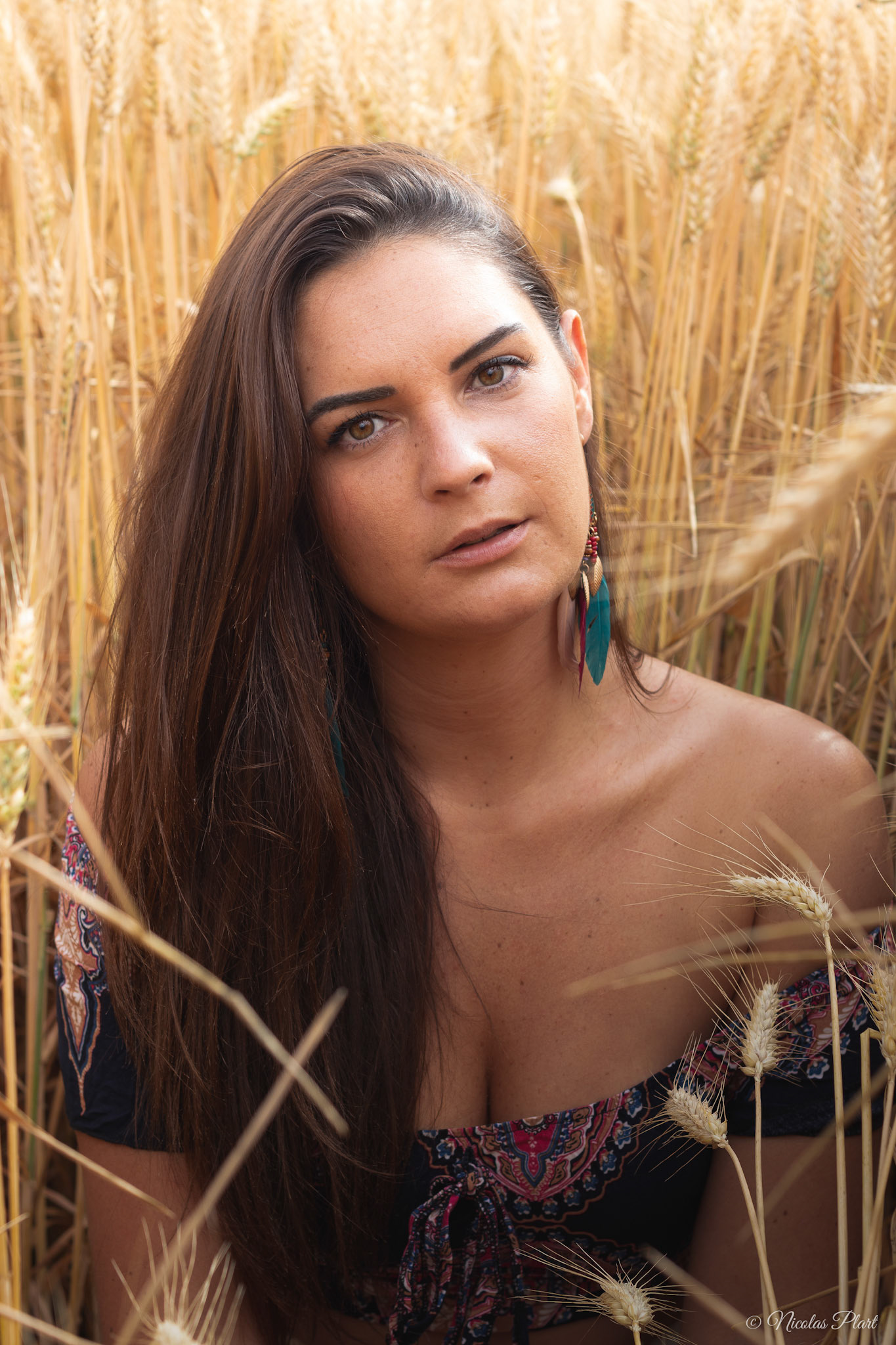 indienne, gitane, blé