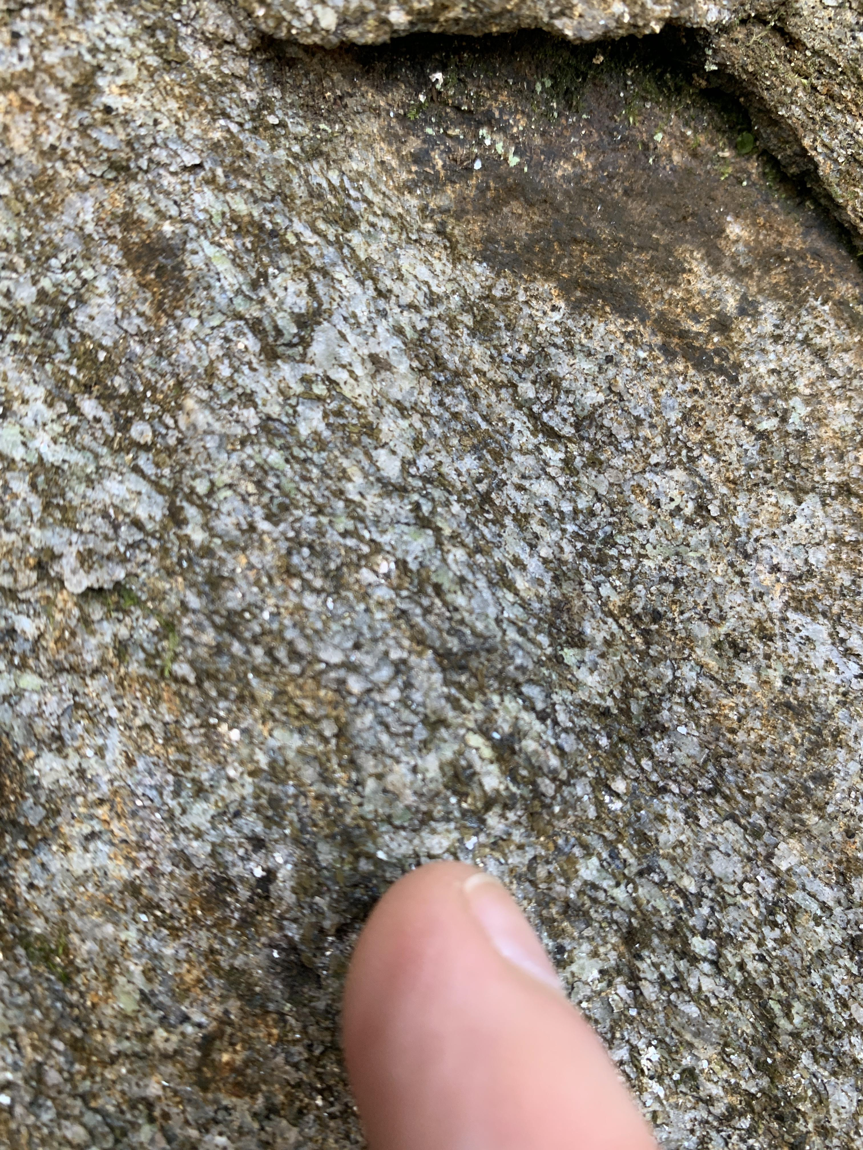 Another close of of the same rock texture but showing a slight indication of a foliation within the grains due to their common orientation and possible stretching which in this photo is from top left to bottom right.