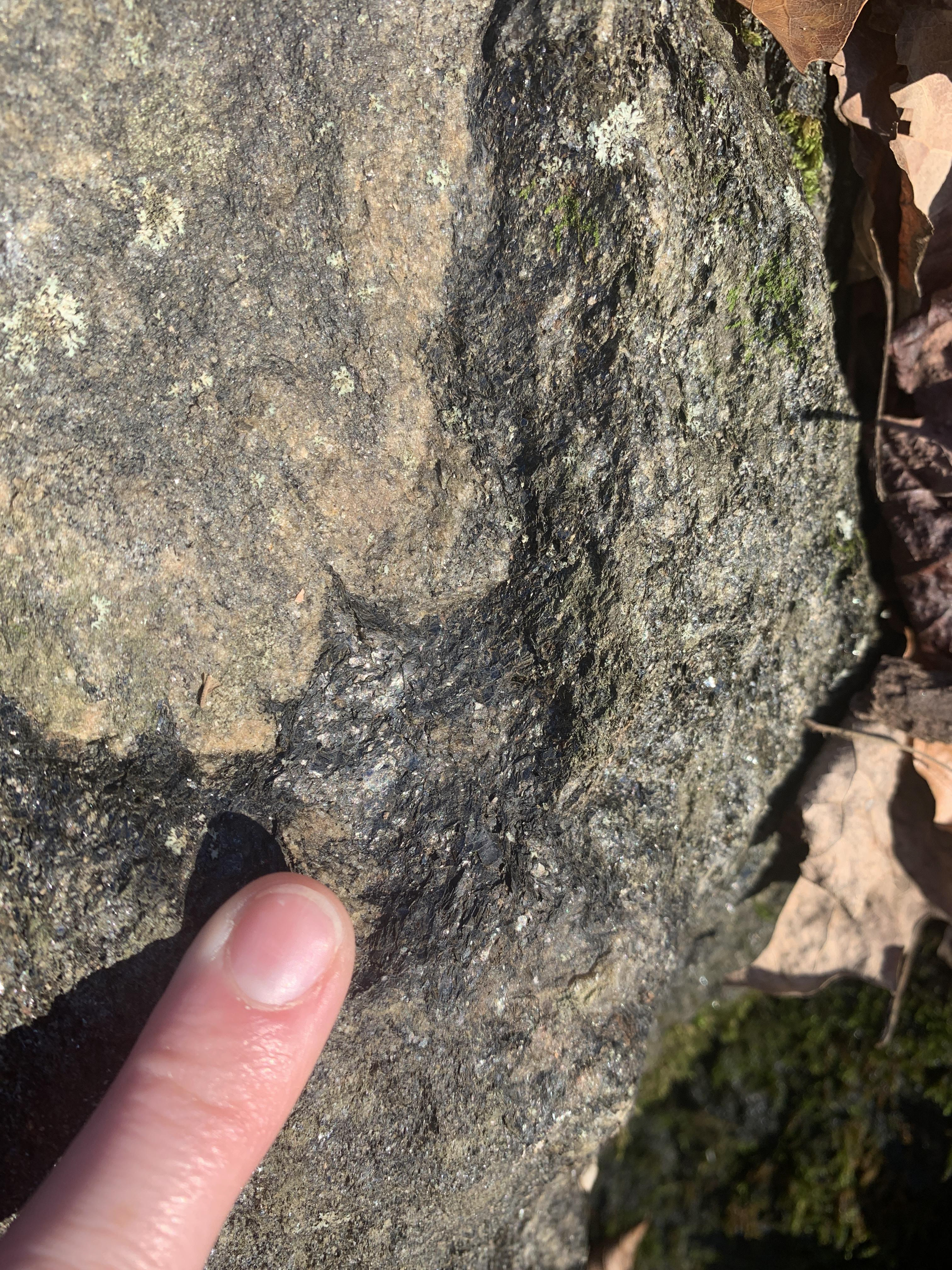 Finger pointing to layer of dark micaceous minerals.