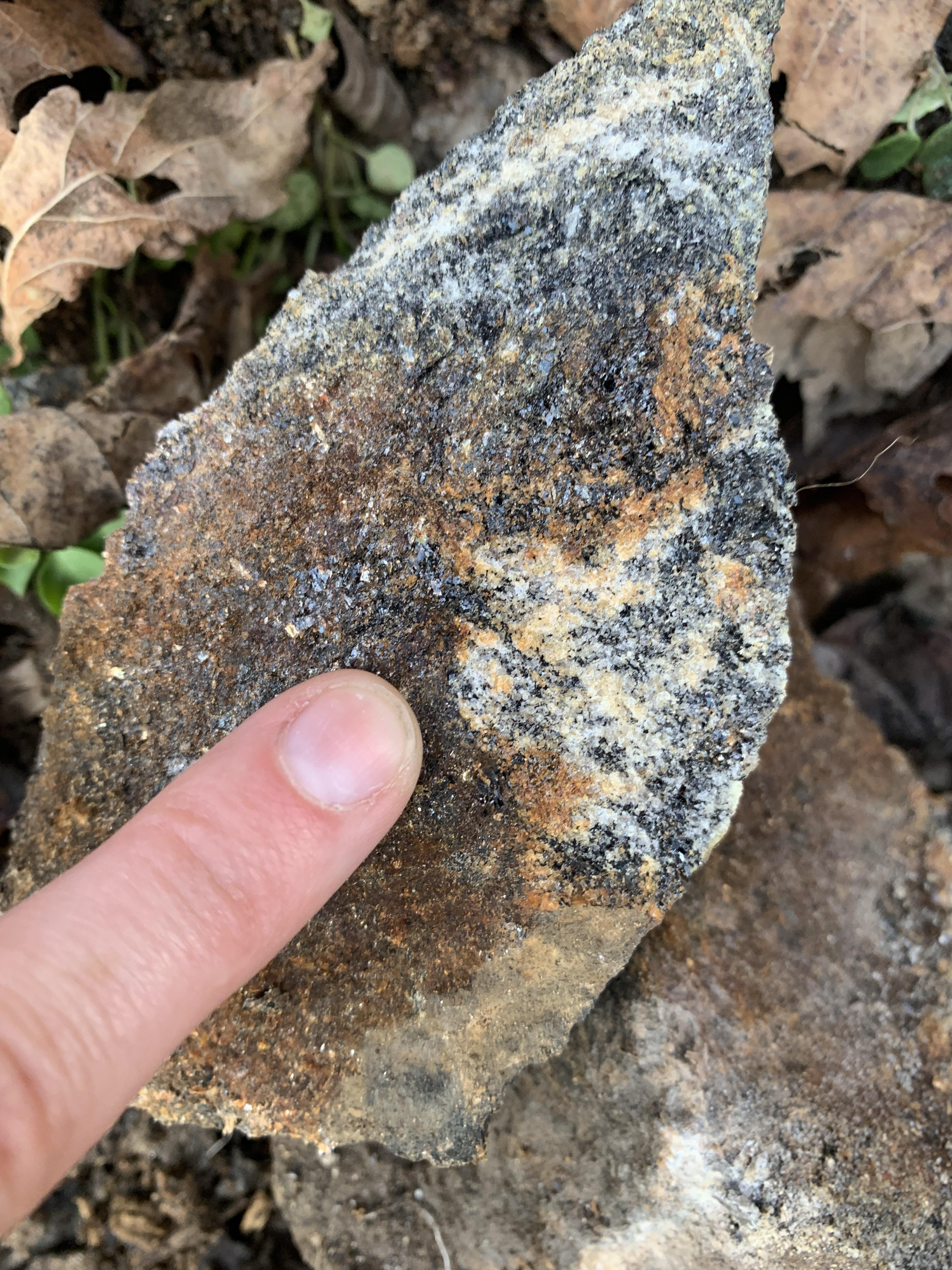 Finger points to close up of minerals in a piece of rock broken off from the outcrop. The fresh surface exposes the small white grains interspersed with black minerals with a micaceous habit that appear oriented parallel to one another. No clear layers are visible in this hand sample.