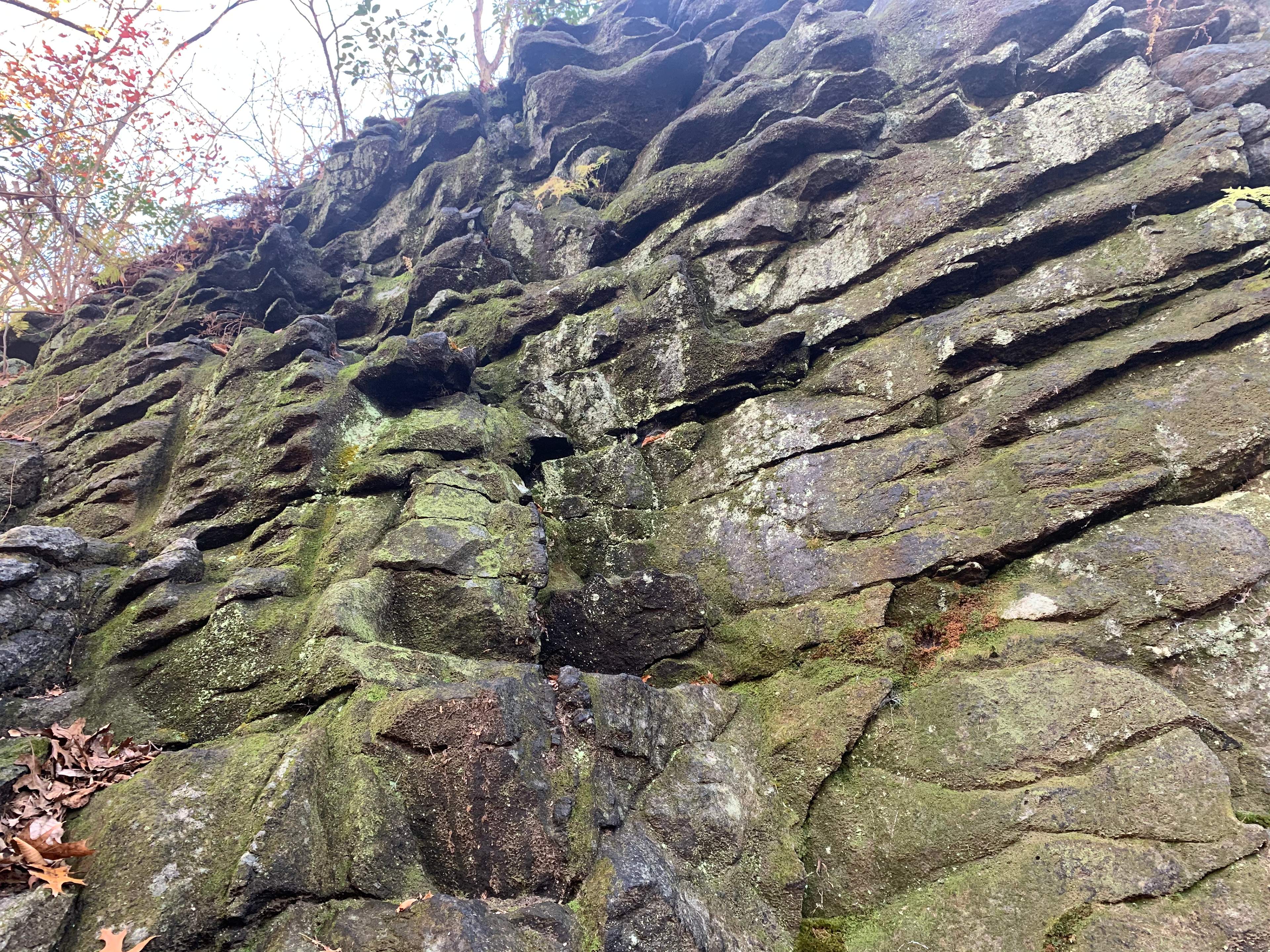 Closer image of outcrop showing the parallel layers that are being weathered to expose the planar undersides. A couple of drill holes are present in the face of the outcrop. A sub vertical dike is exposed cutting through the layers in the outcrop. Most of the outcrop is weathering gray with some reddish weathering surrounding the dike. Green moss and white lichen cover some of the outcrop.