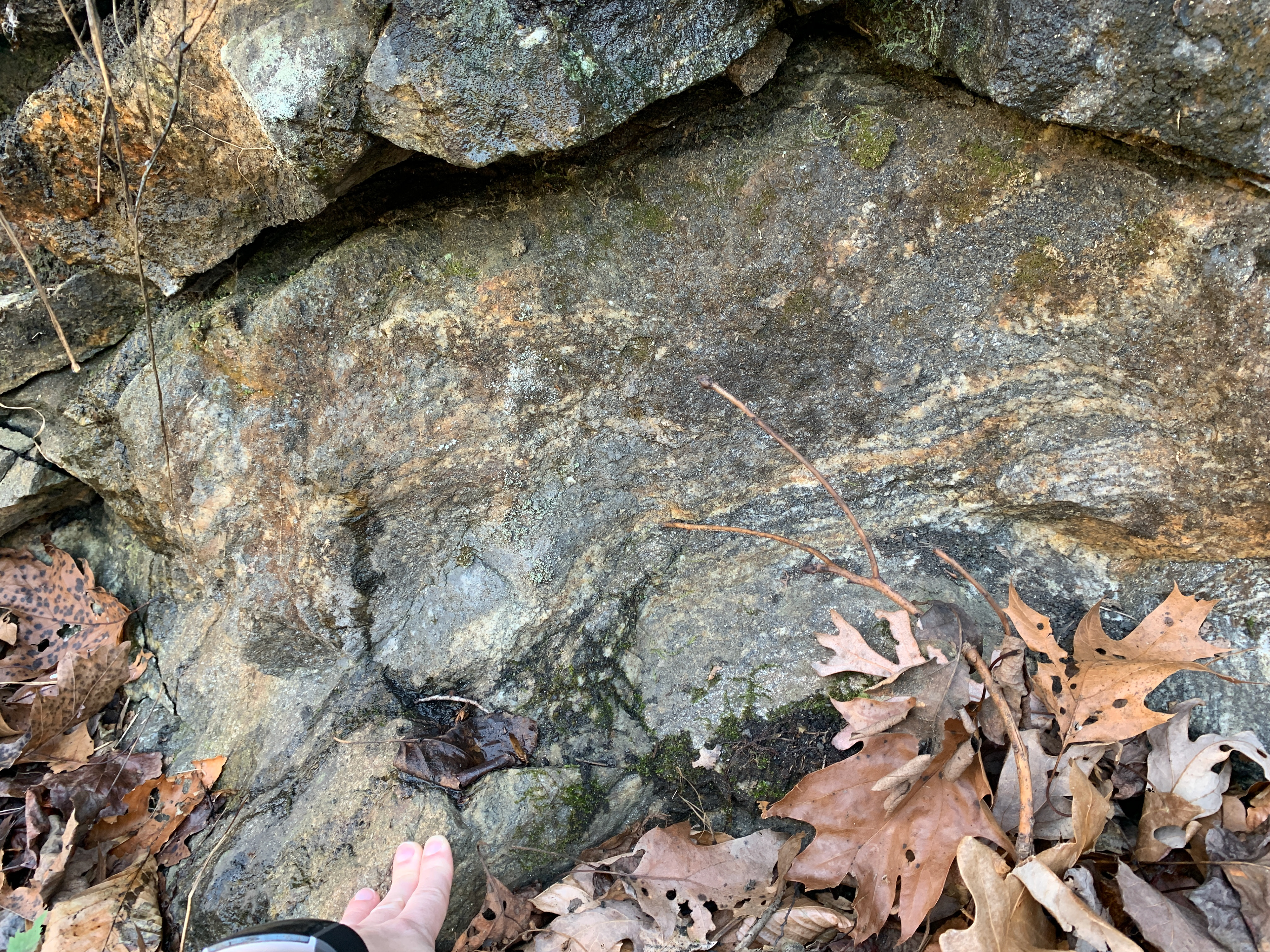 Hand points to rock showing light and dark bands of minerals. A slight folding can be seen in the bands.