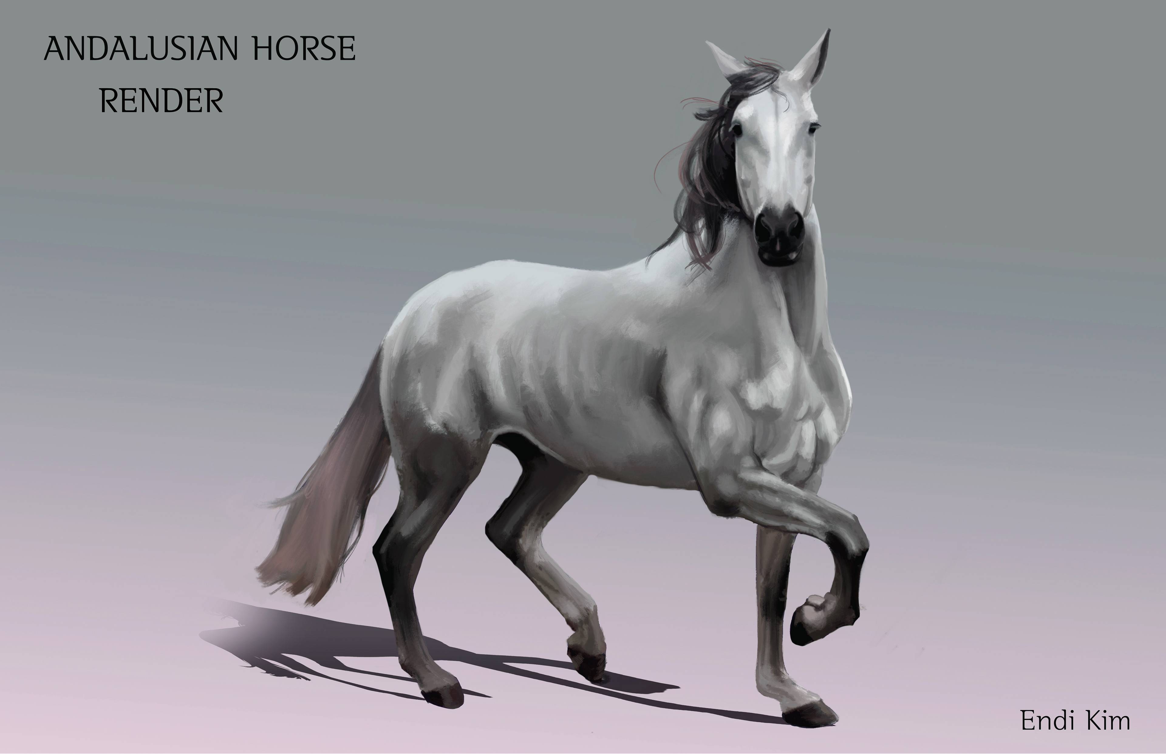 Horse Anatomy-Render