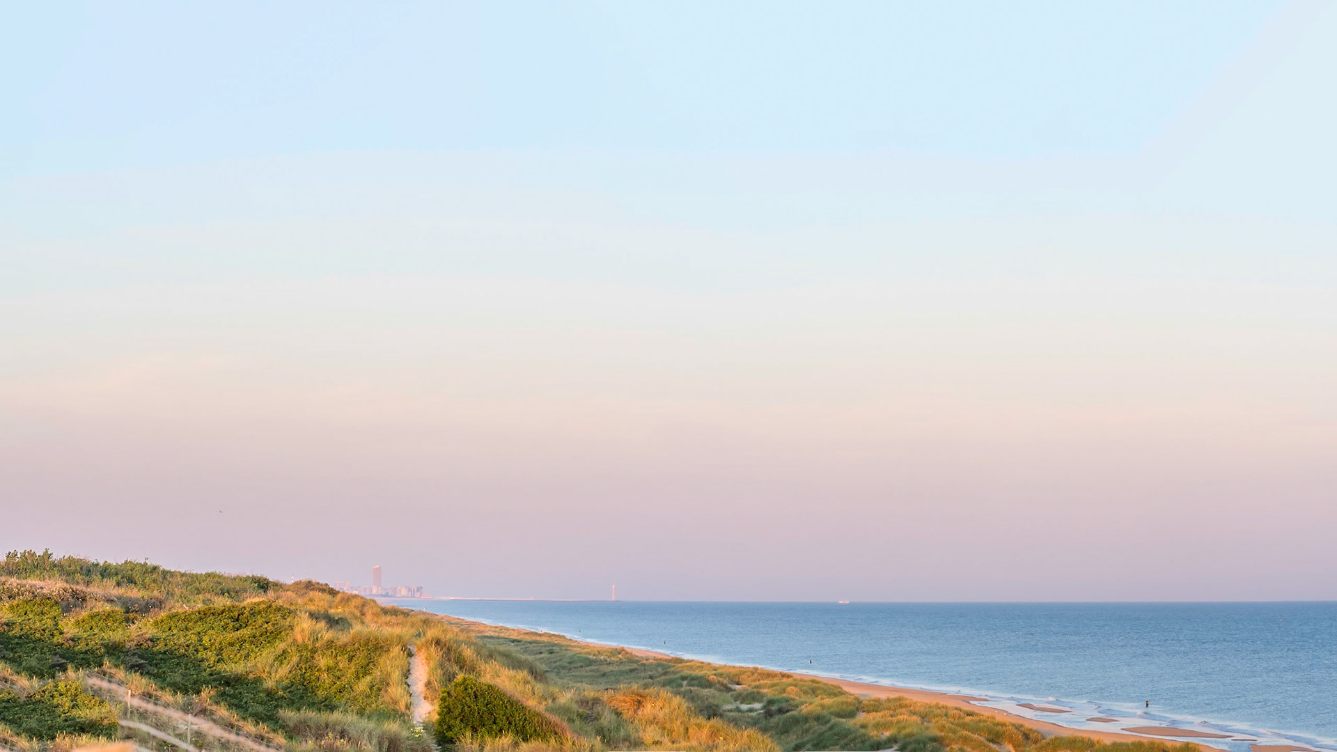 Gentle morning light