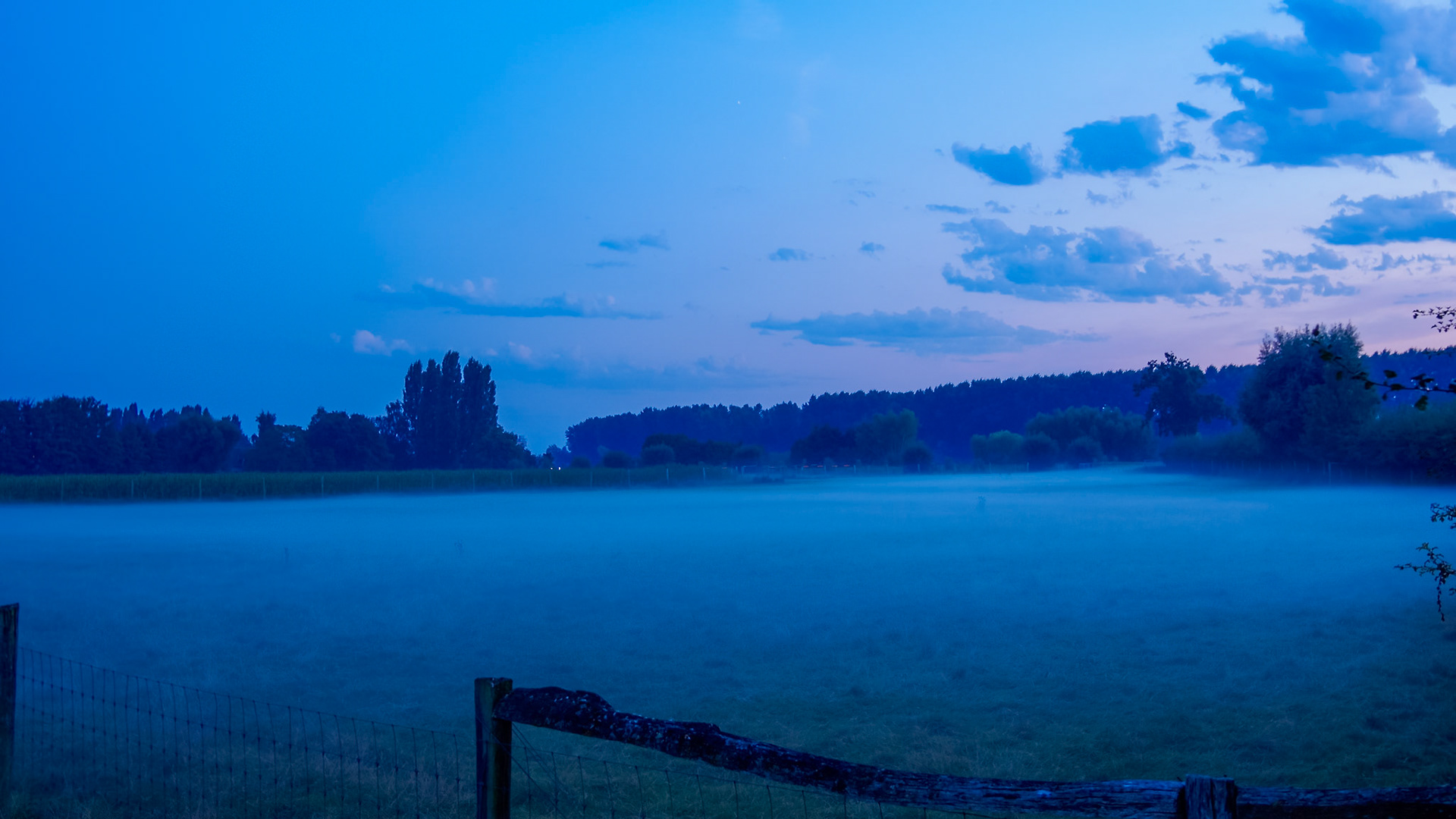 Blue hour mist over Flanders fields