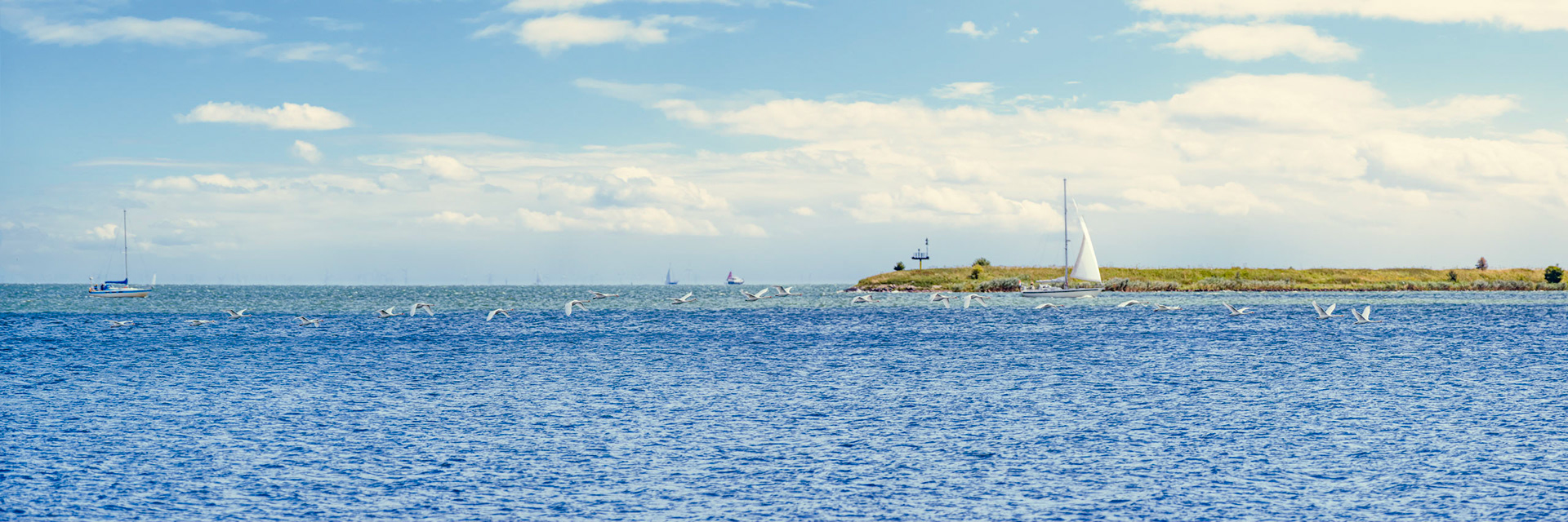 Seven times three geese flying over Markermeer