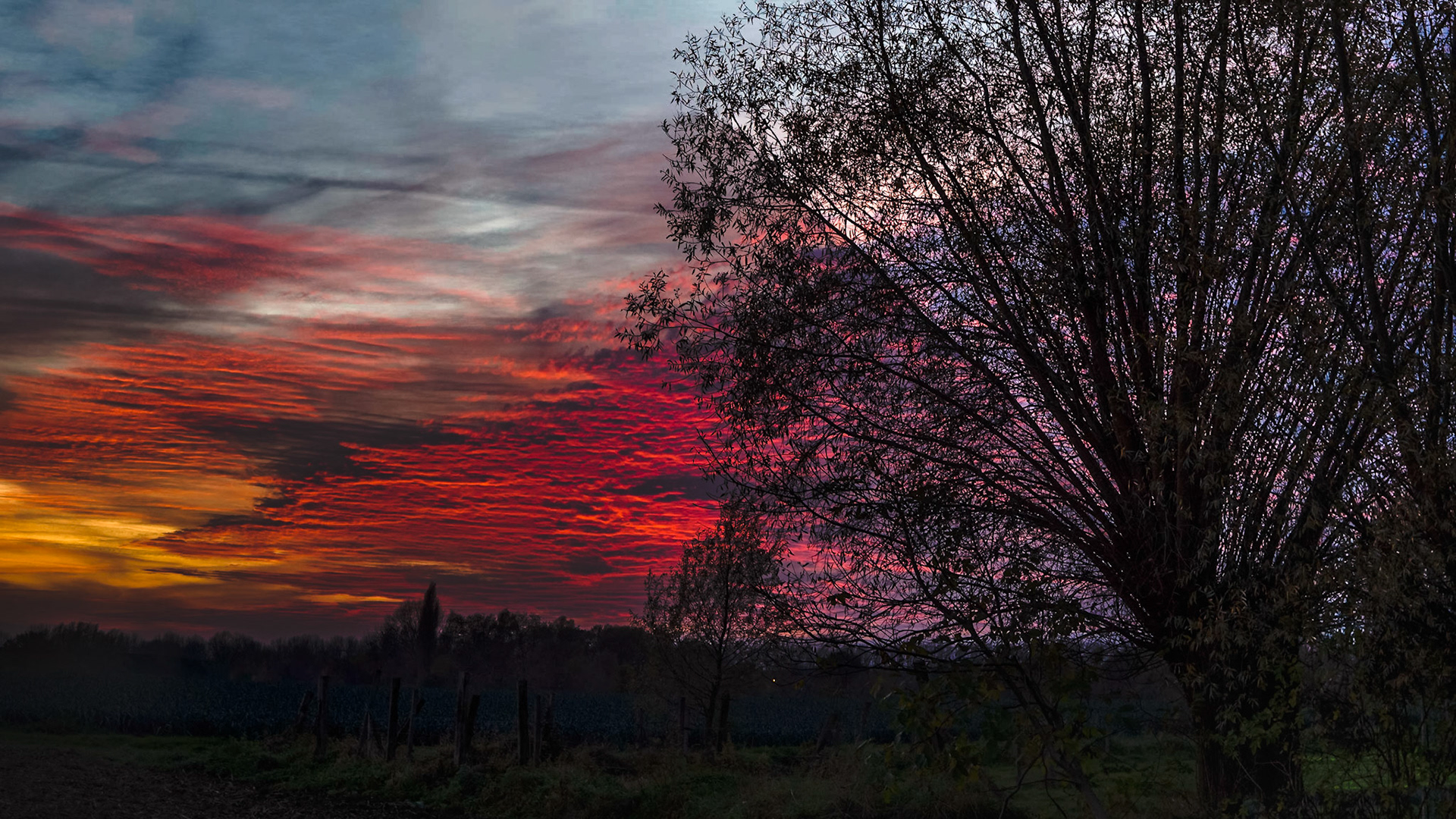 Silhouettes against the evening sky IV