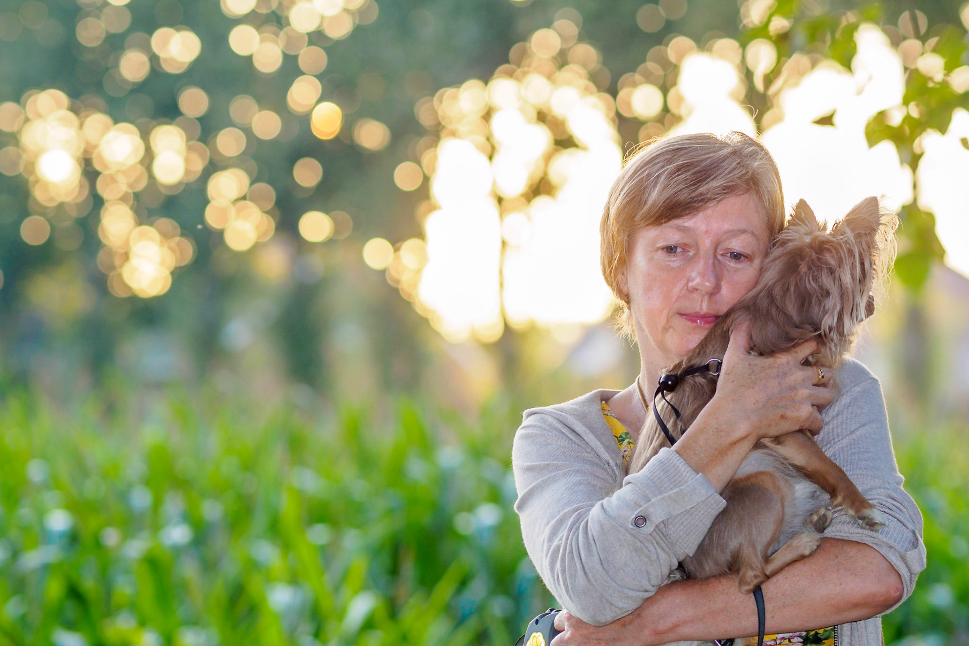 Pensive lady with chihuahua against a sunlit forest