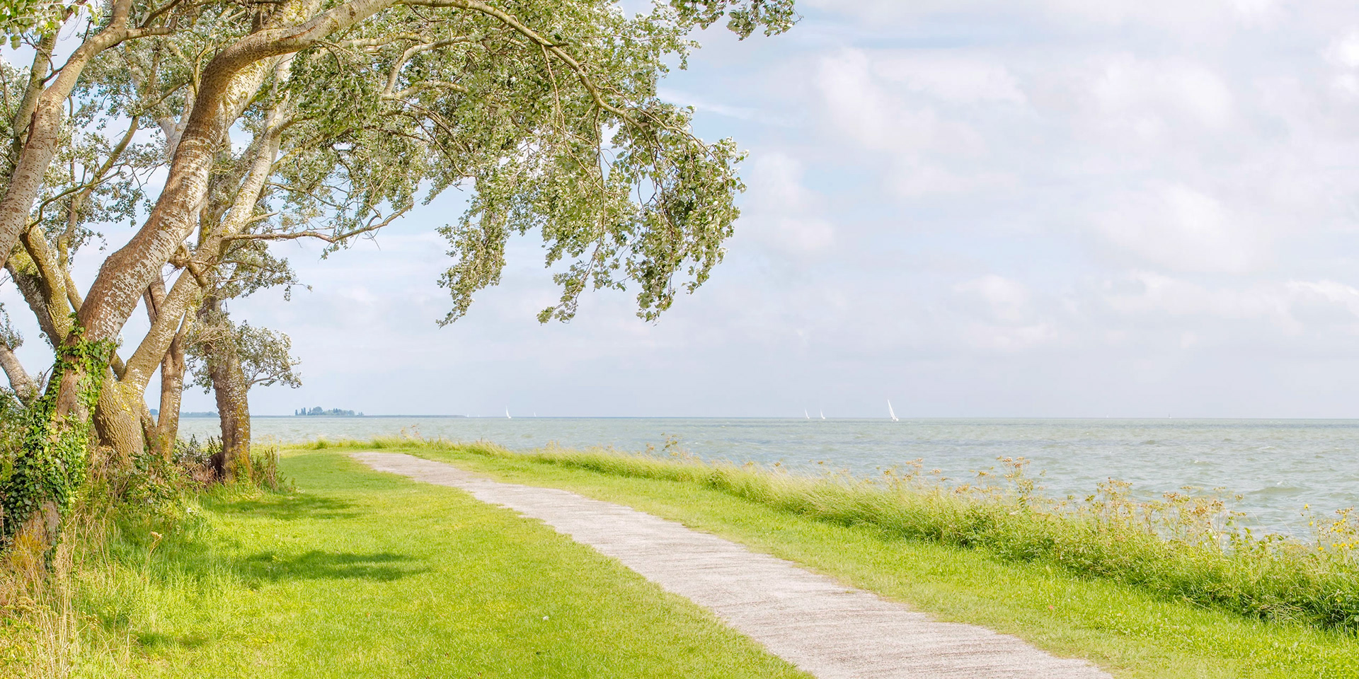 Pastel colored view over Hoornsche Hop