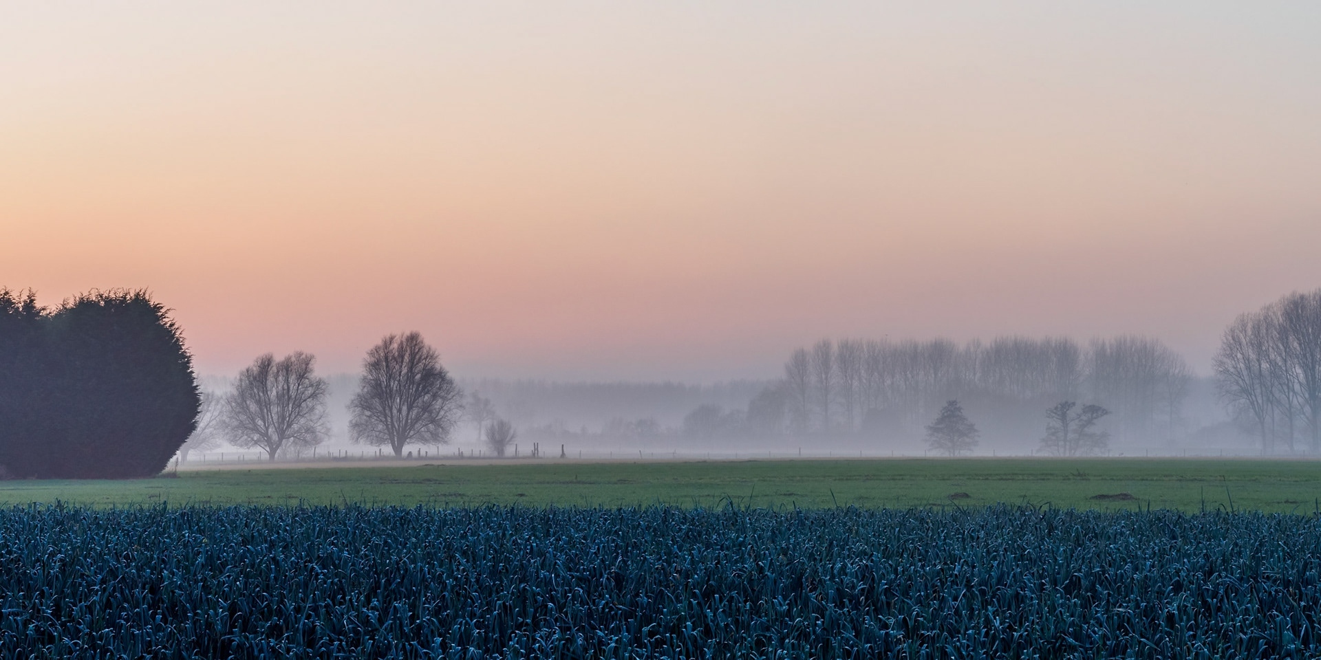 Morning mist over a rural landscape