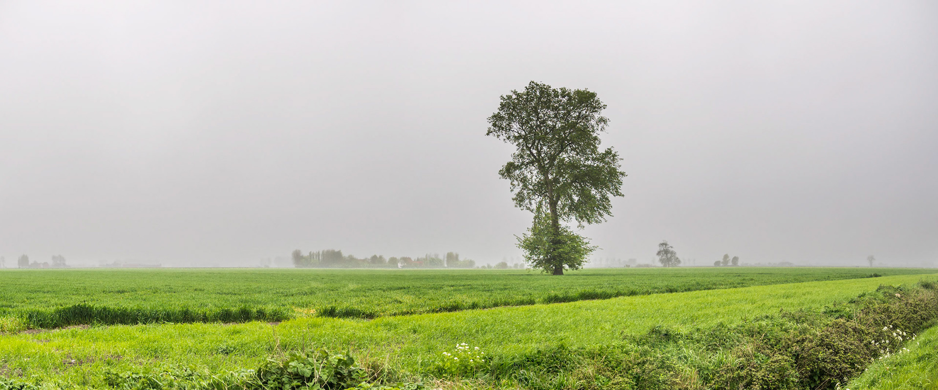 In spite of the weather