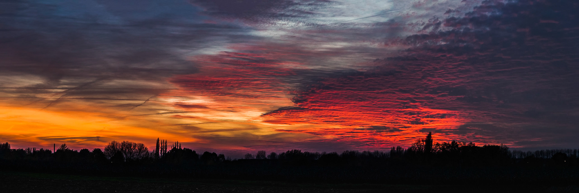 Silhouettes against the evening sky V