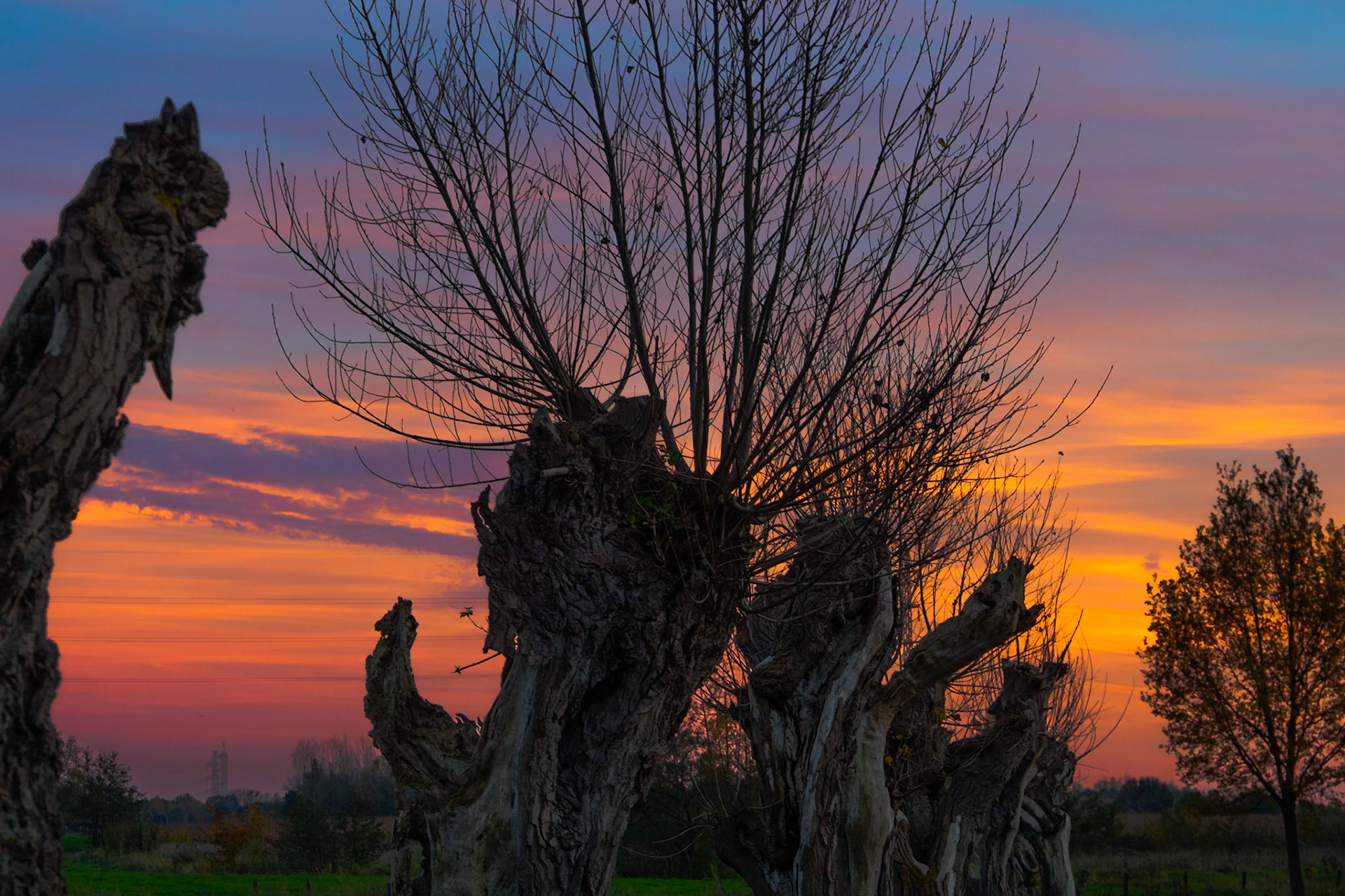 Silhouettes against the evening sky II