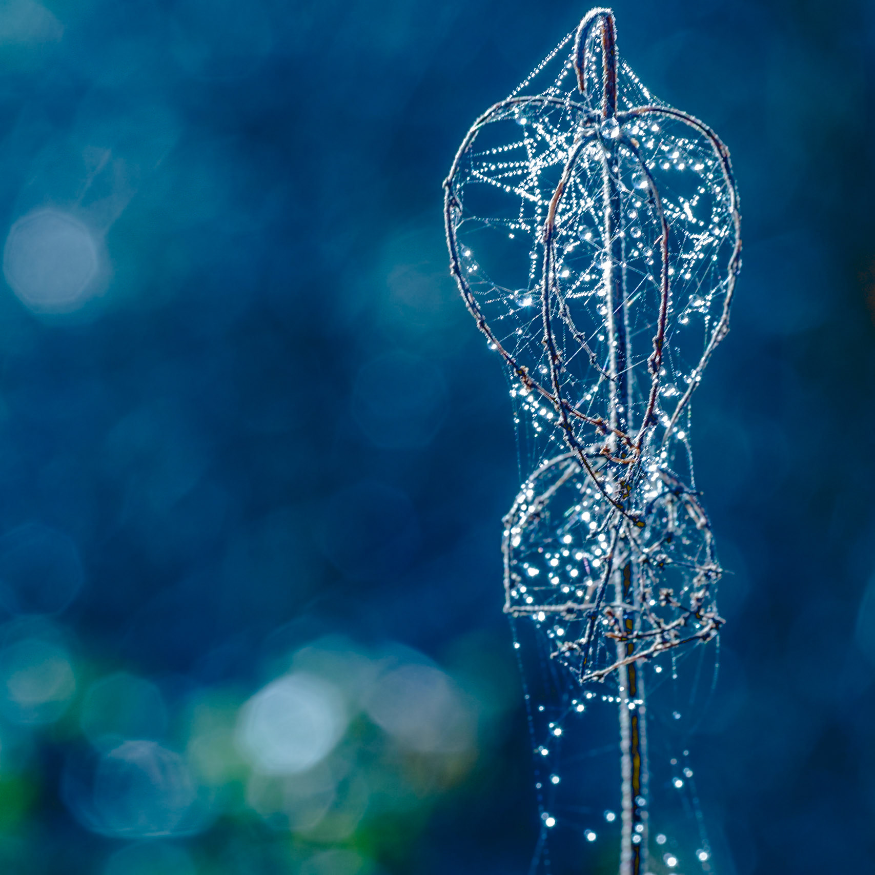 Droplets of mist on a spiderweb against a blue background