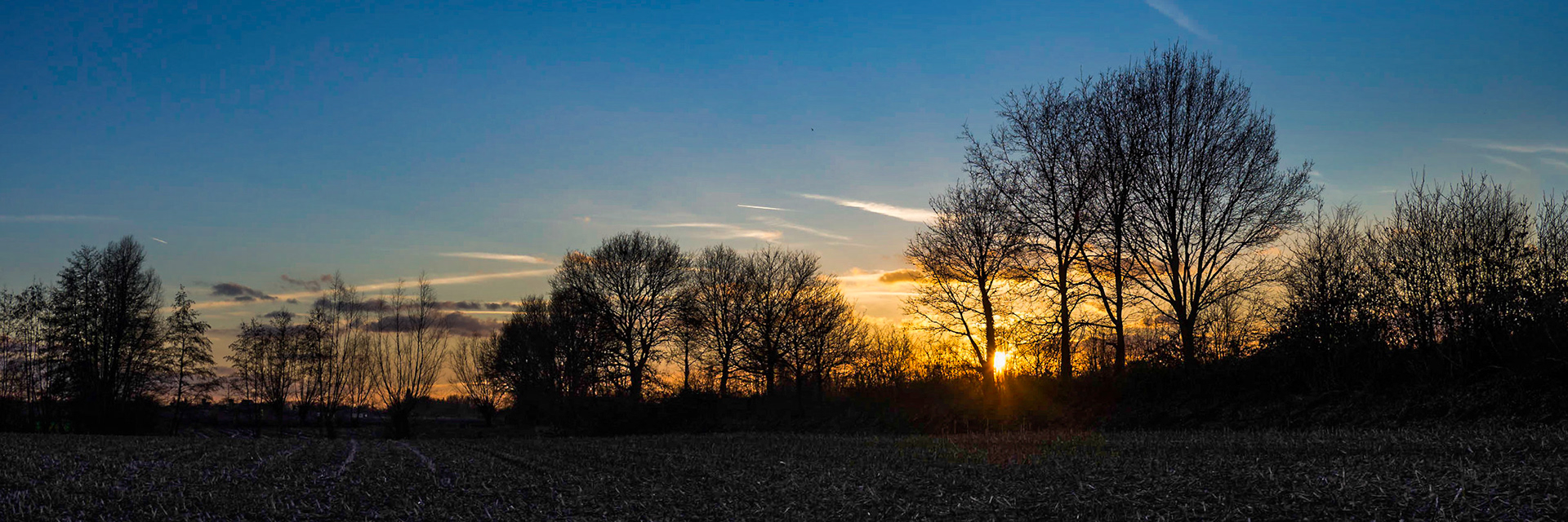 Starburst of the setting sun peeping through the dark silhouettes