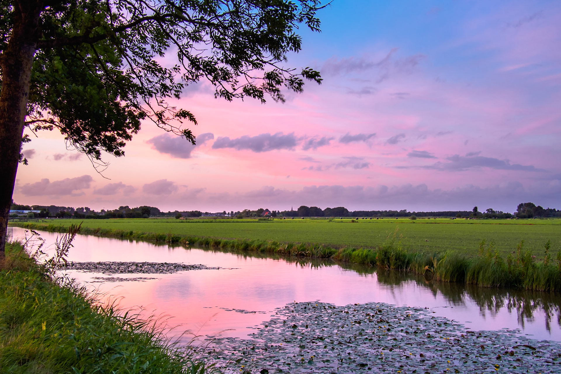 Vivid colored buccolic Sunset over dutch water III