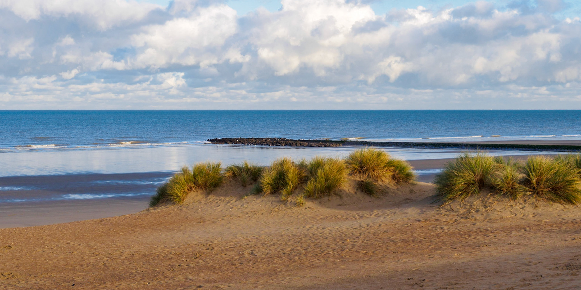 Beach with grass and blue North sea under clouded sky