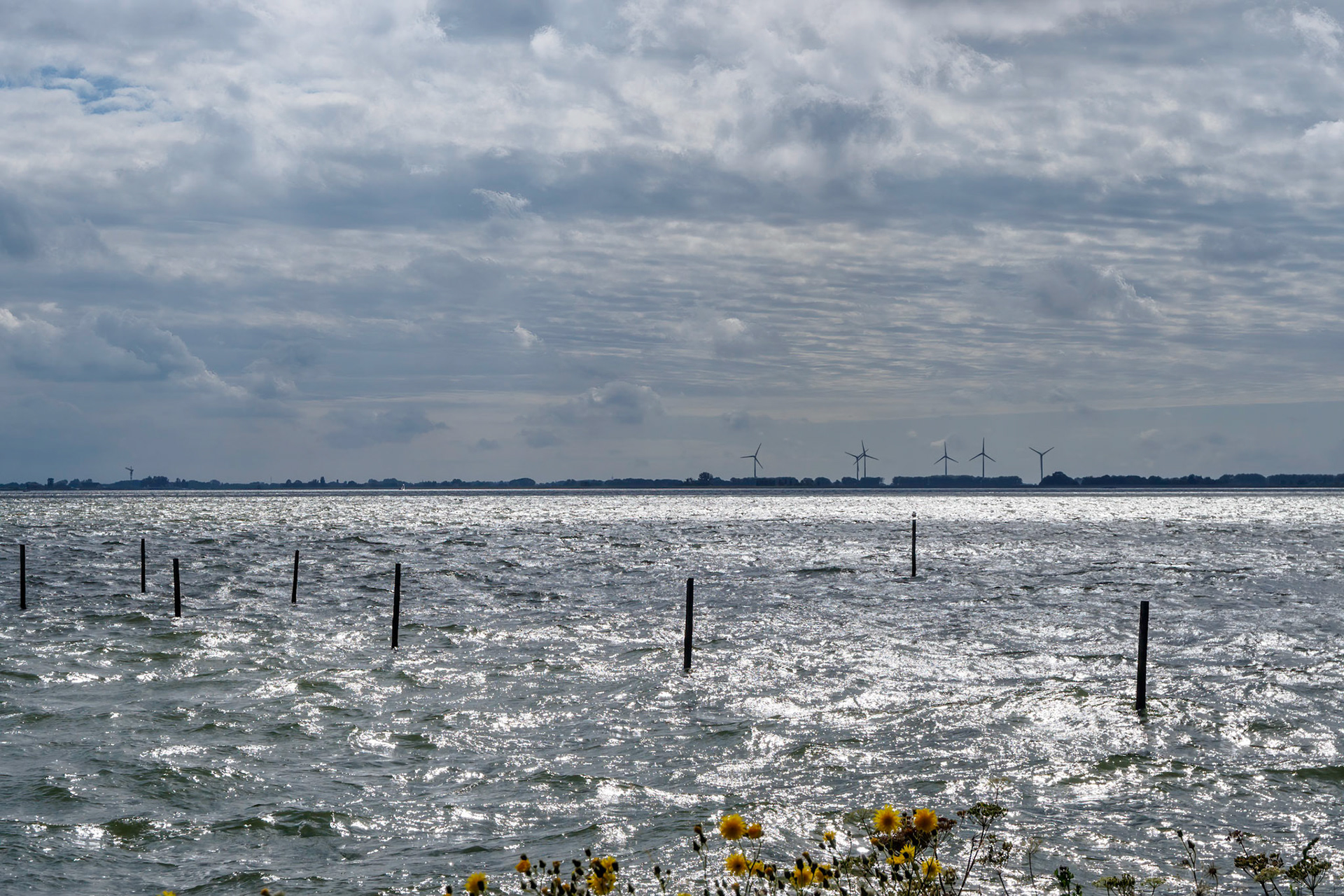 Silver shimmering on Markermeer lake