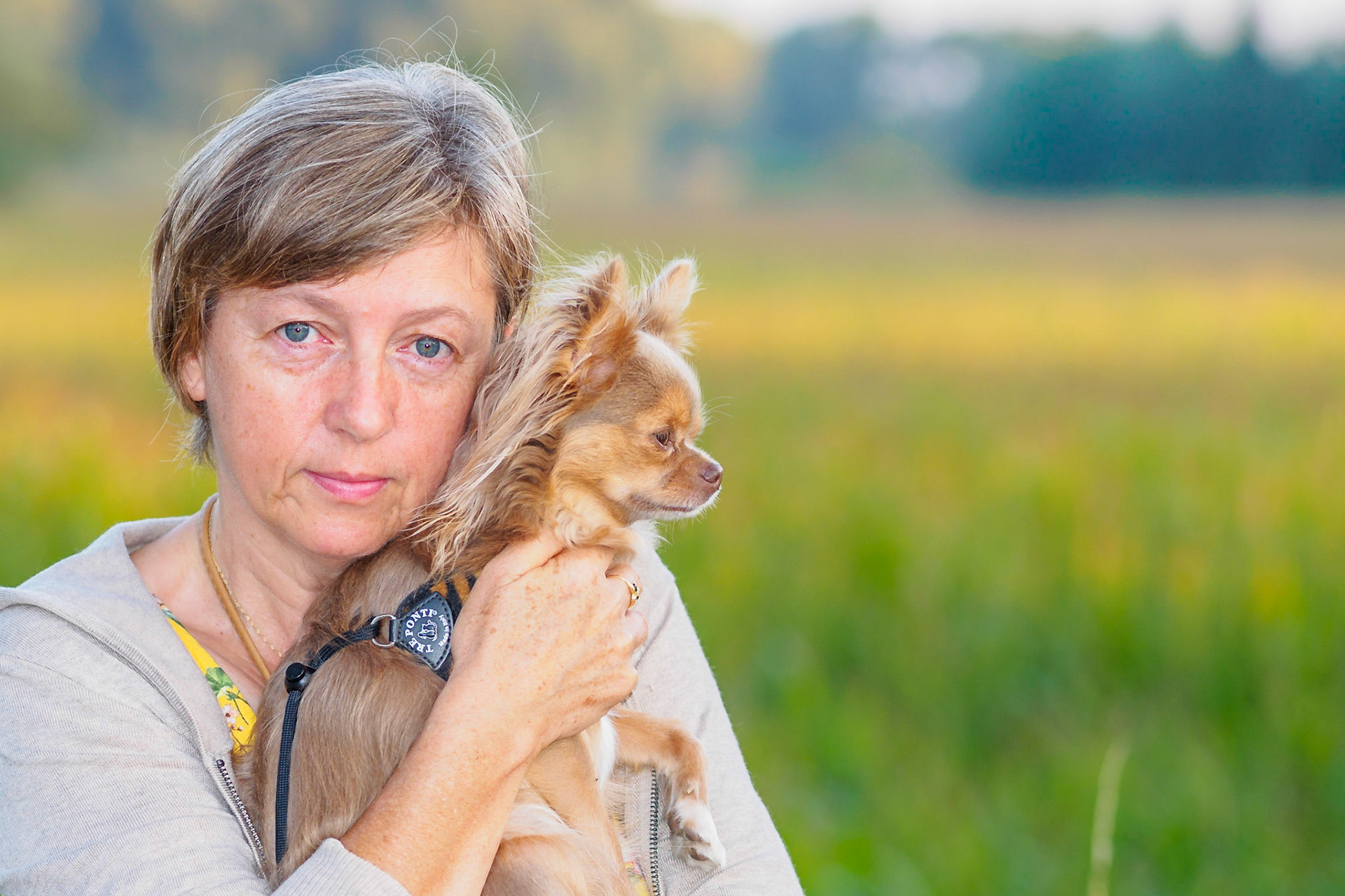 Friendly Lady with Chihuahua II