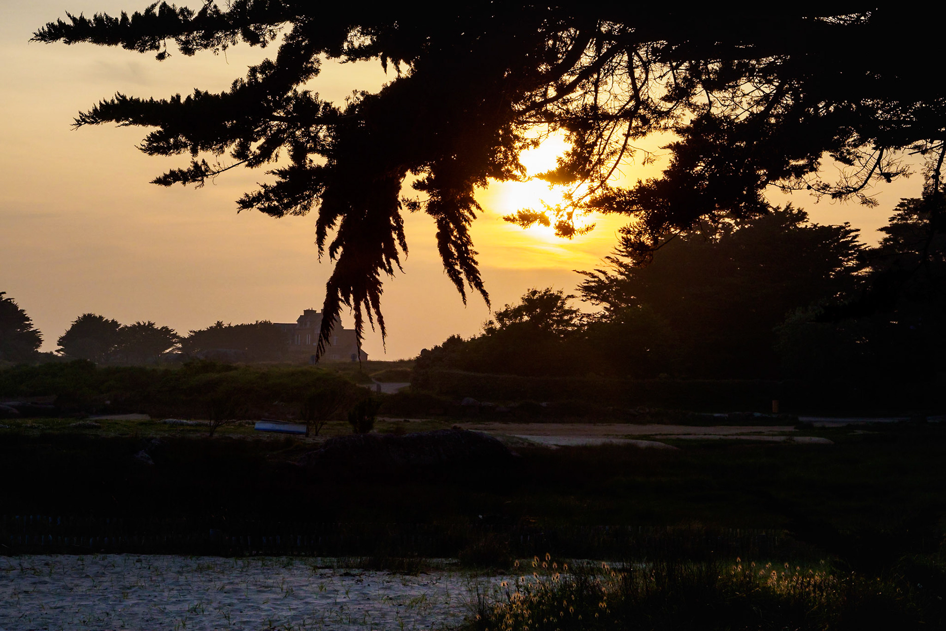 Gold and Silhouette III