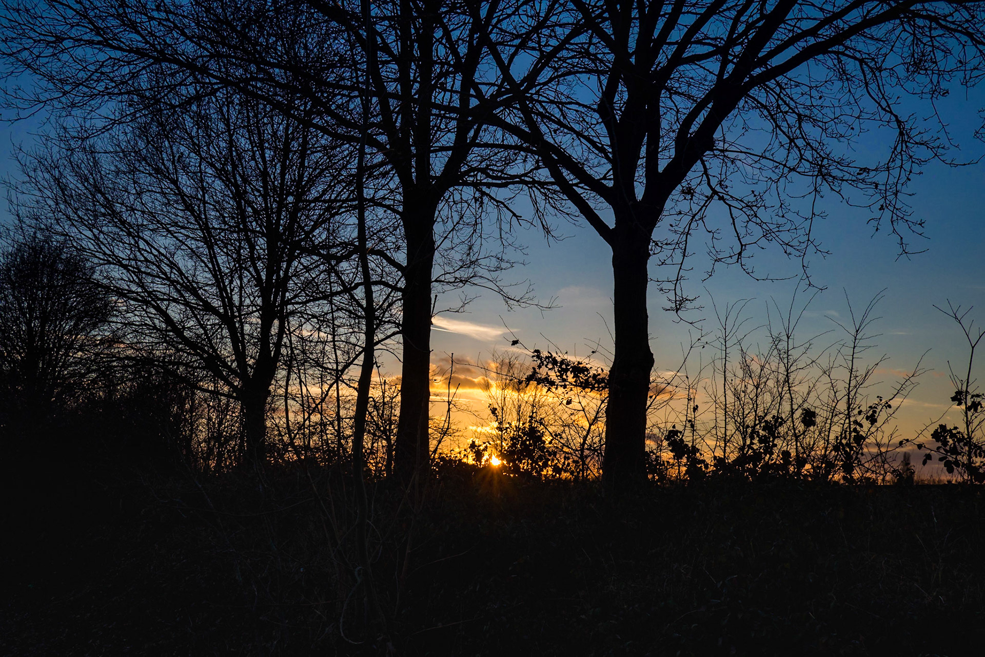 Starburst of the setting sun peeping through the dark silhouettes