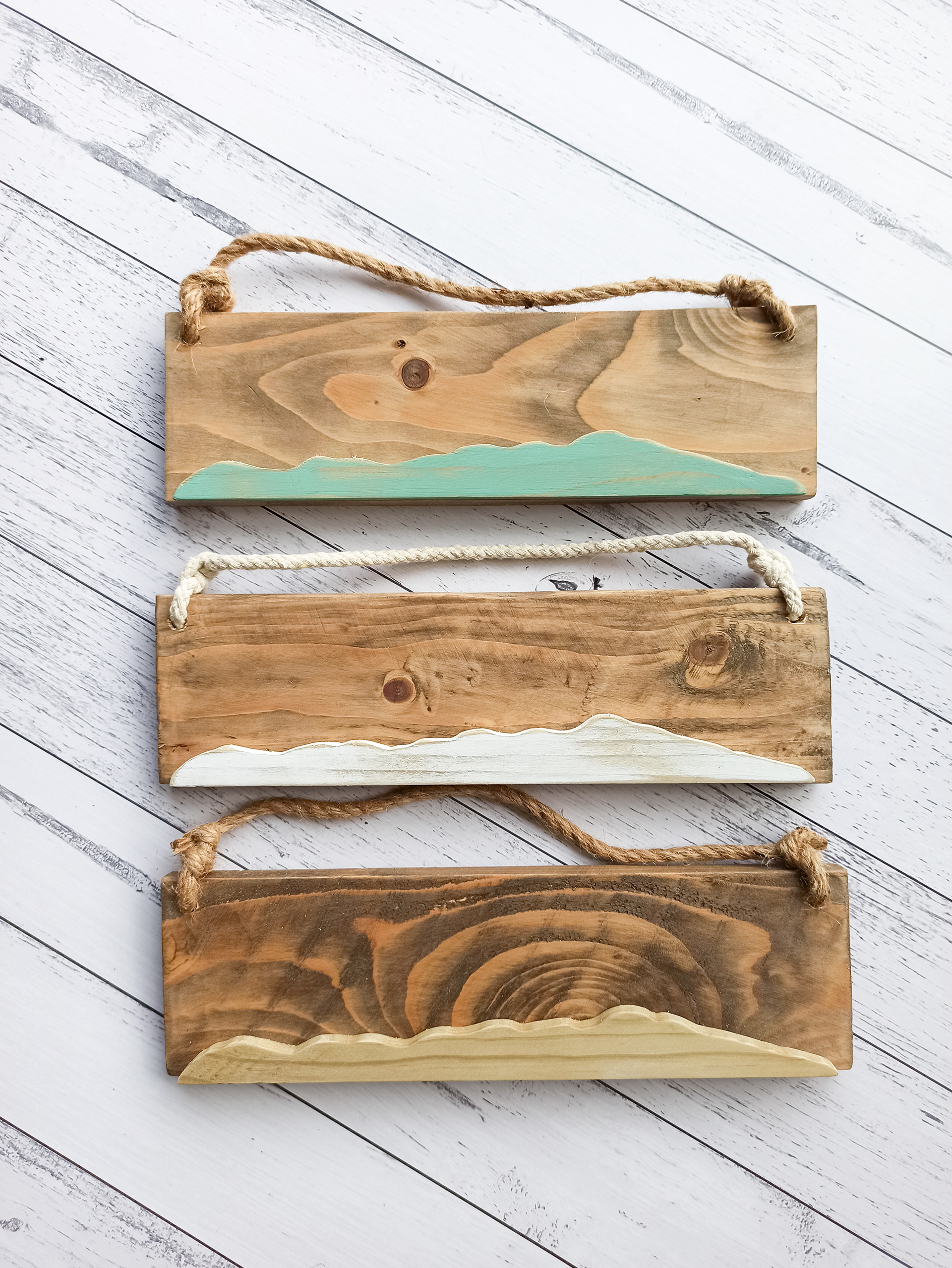 Kapiti Island Mini's - $35