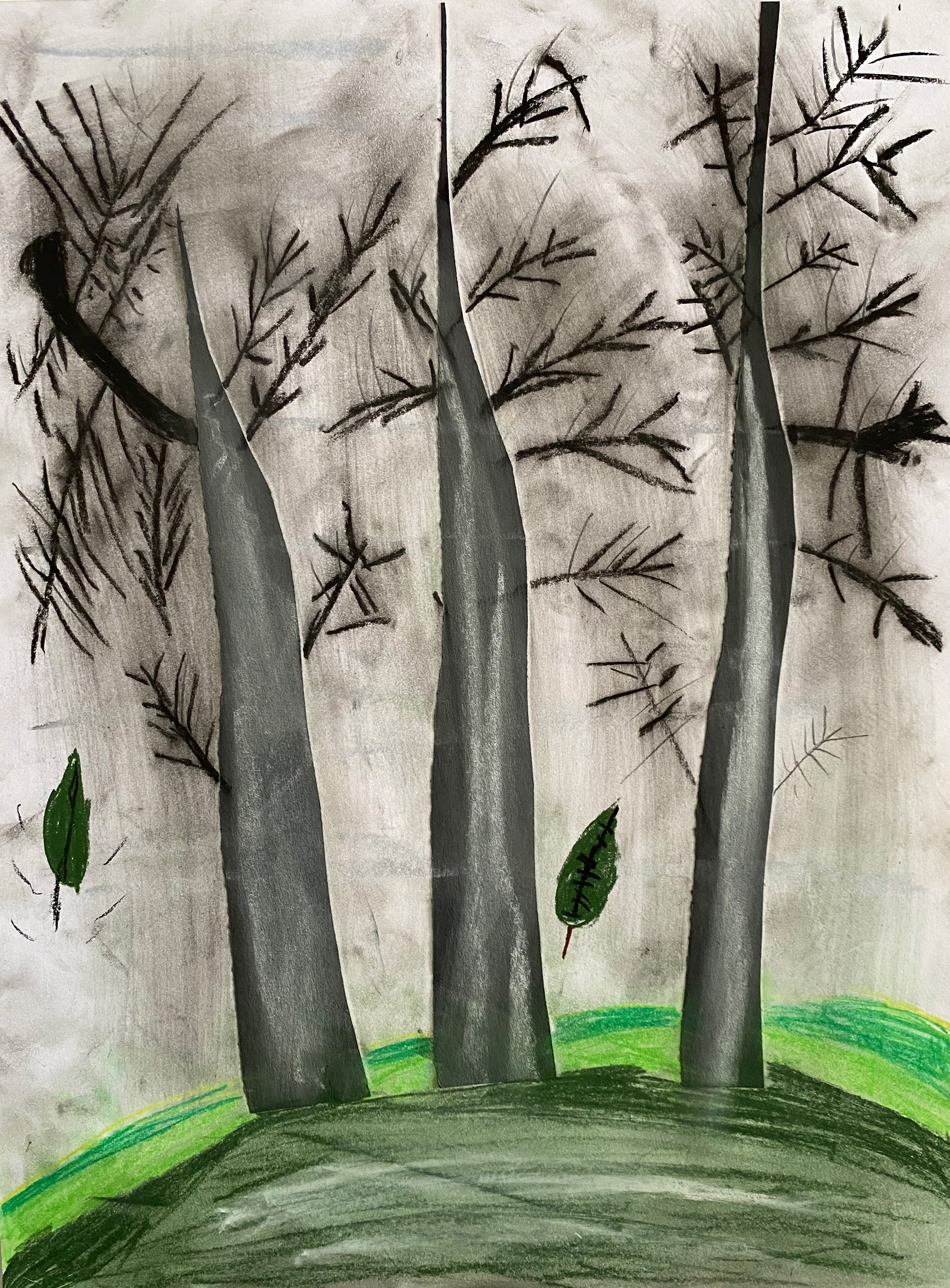 Remi Diels