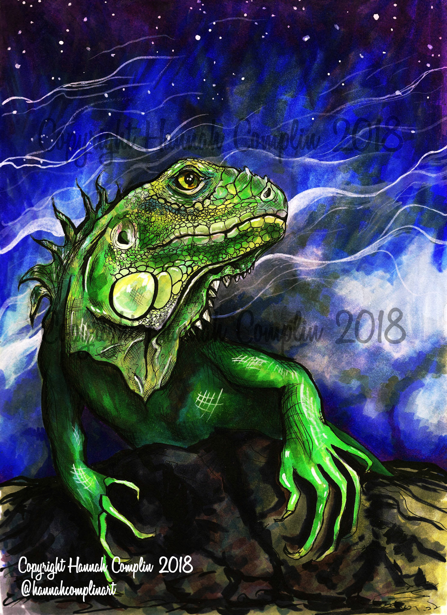 Iguana